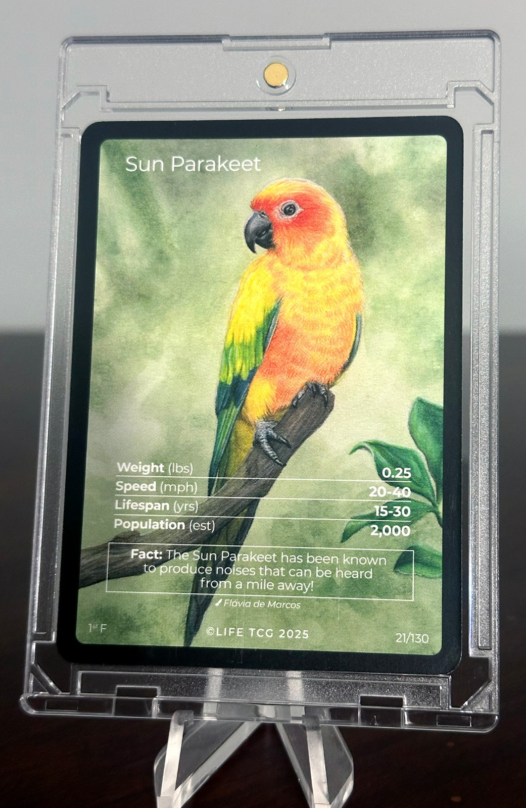 🔥Sun Parakeet Life TCG – Birds 1st Edition Full Art Population 200