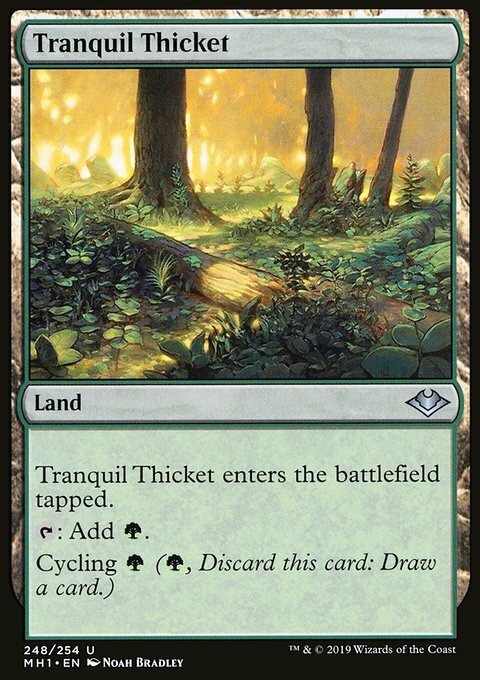 Magic the Gathering MTG Tranquil Thicket (248) Modern Horizons LP