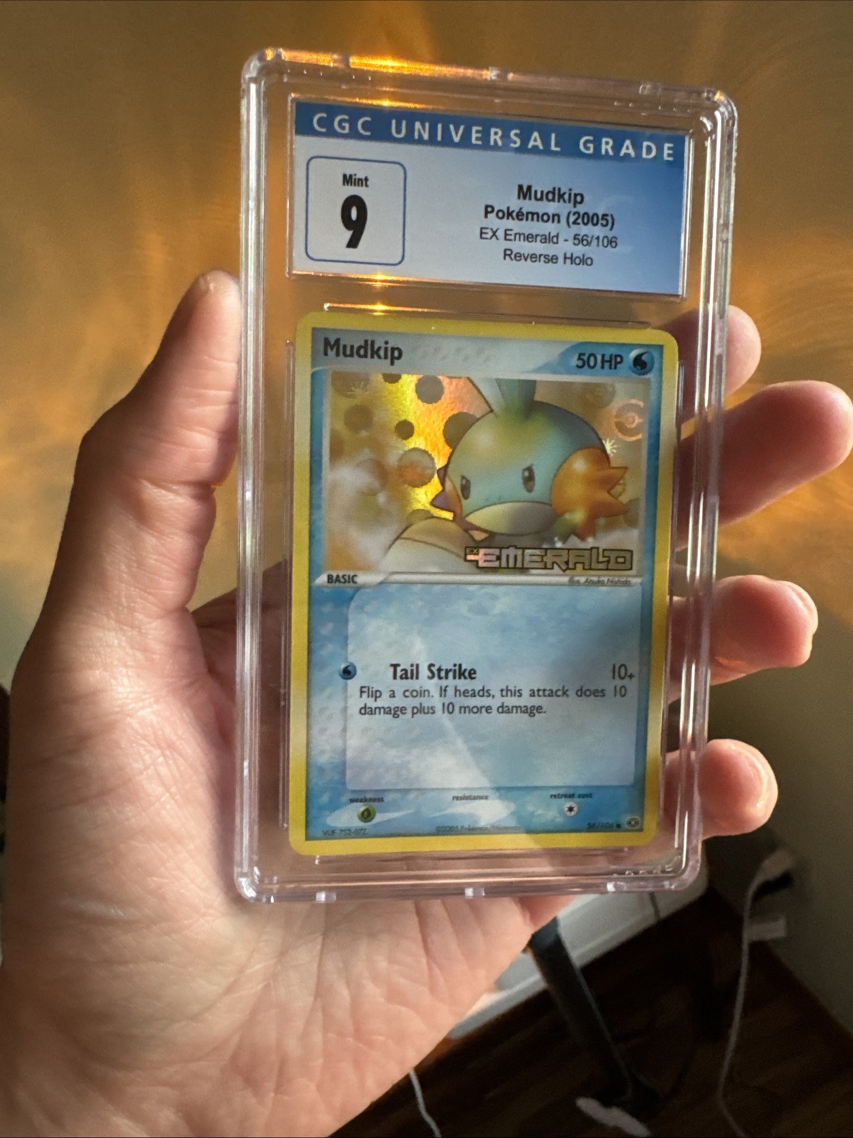 Mudkip 56/106 Emerald Reverse Holo