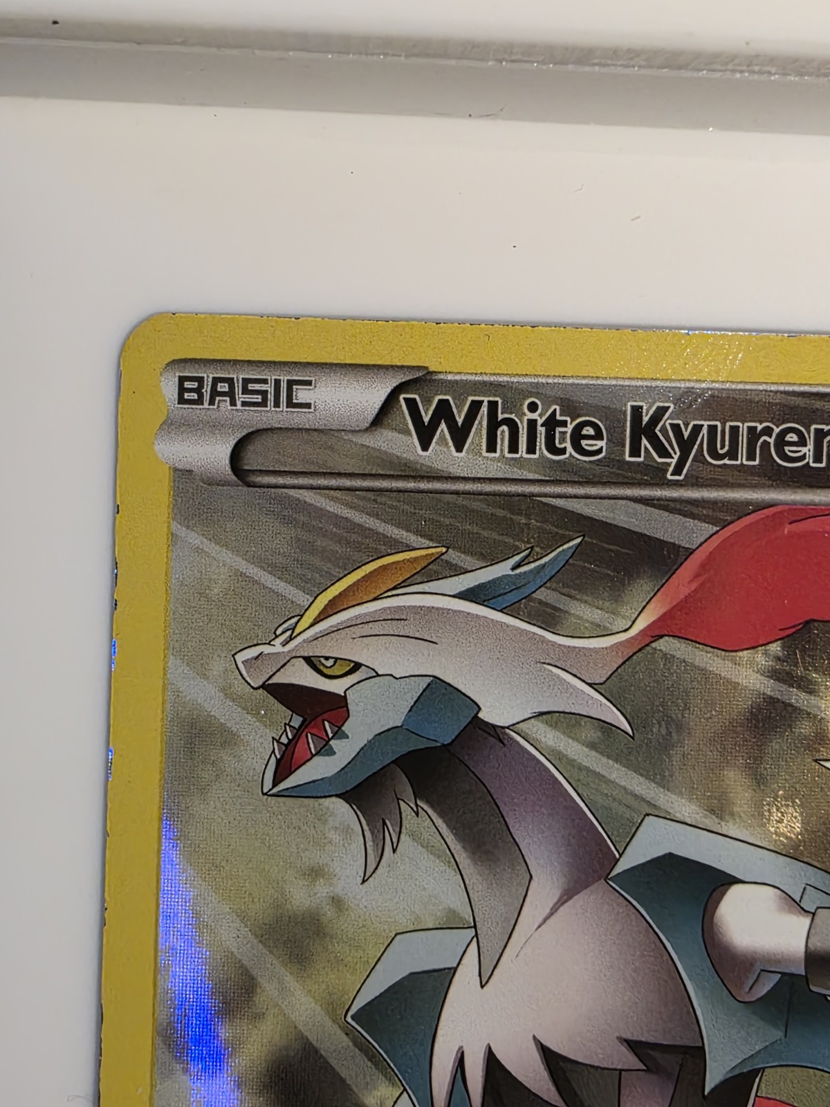 White Kyurem (Full Art Promo) XY81 XY Holo