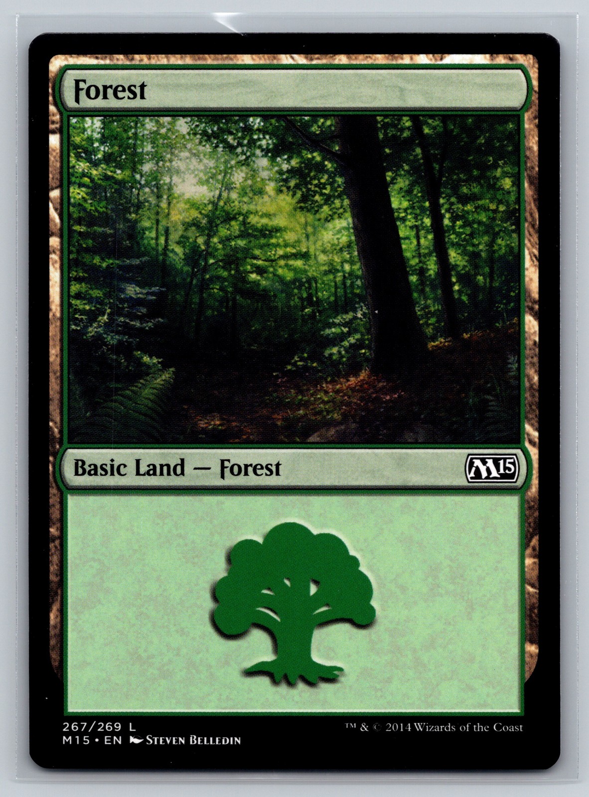 MTG Forest 267/269 L M15 Core Set Basic Land Green Mana Steven Belledin 2014