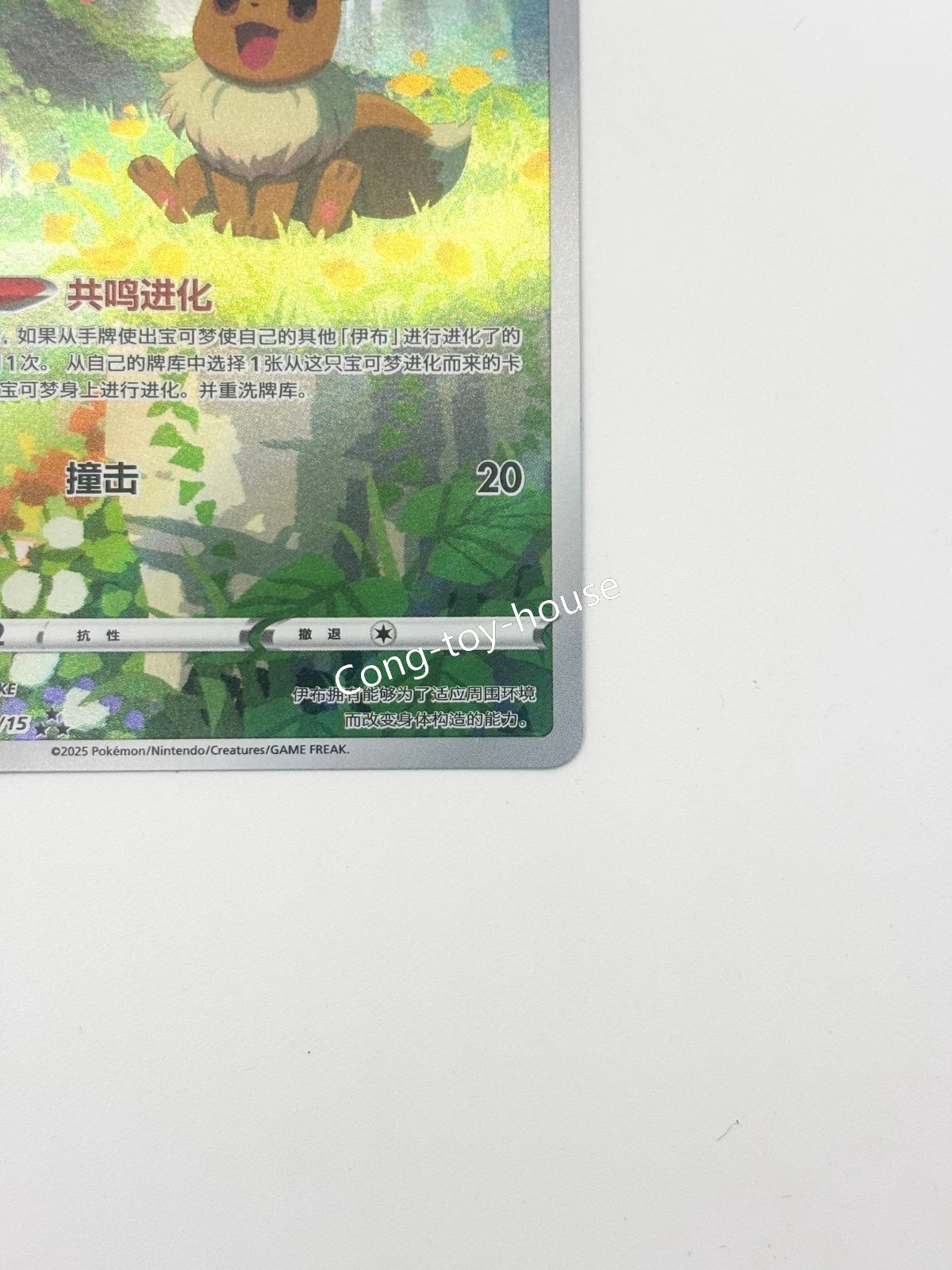 Pokemon TCG Eevee Gem Pack CBB2C-01 15/15 Pokemon Card Chinese exclusive