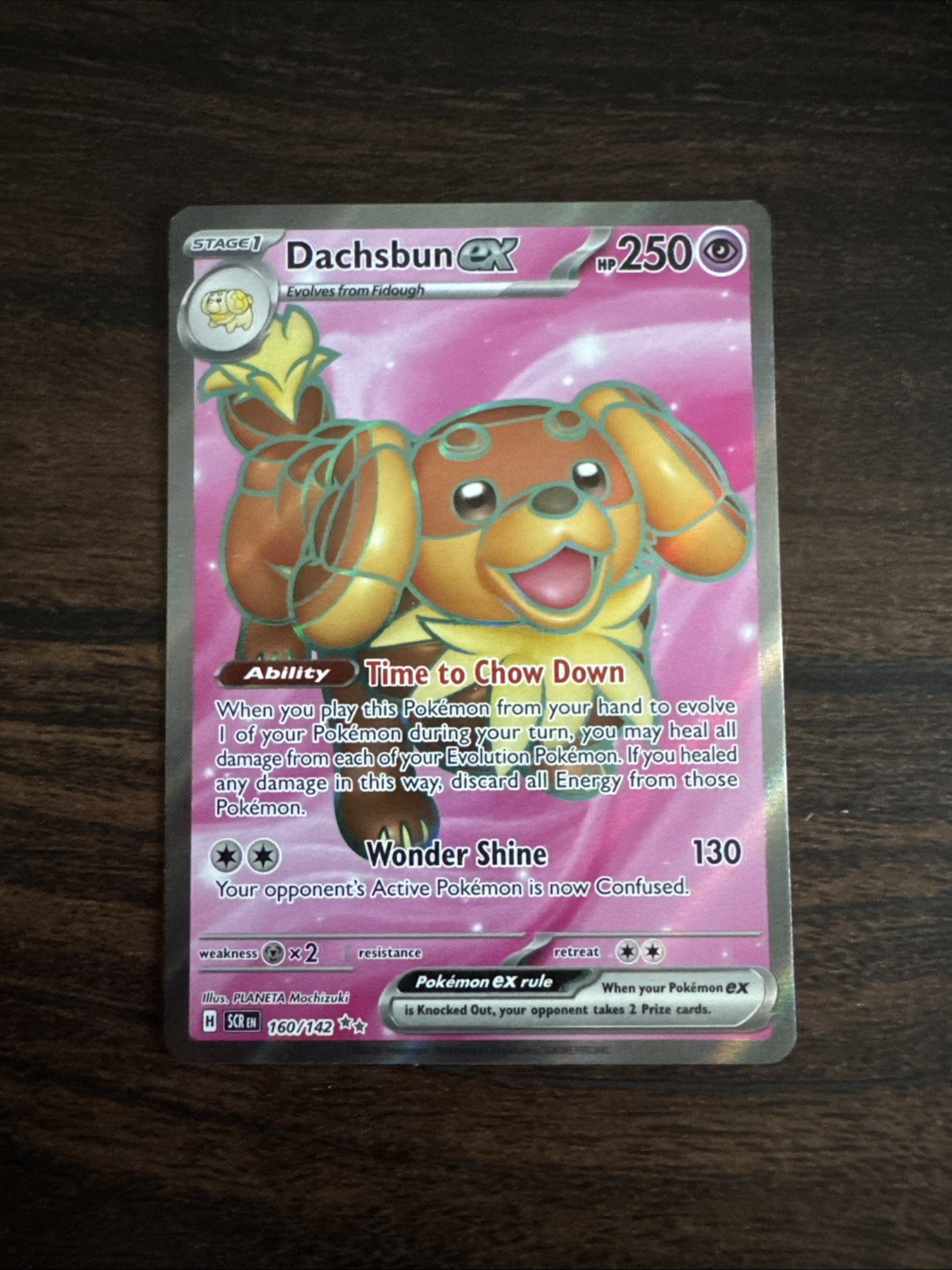 Pokémon TCG Dachsbun EX 160/142 Stellar Crown Ultra Rare