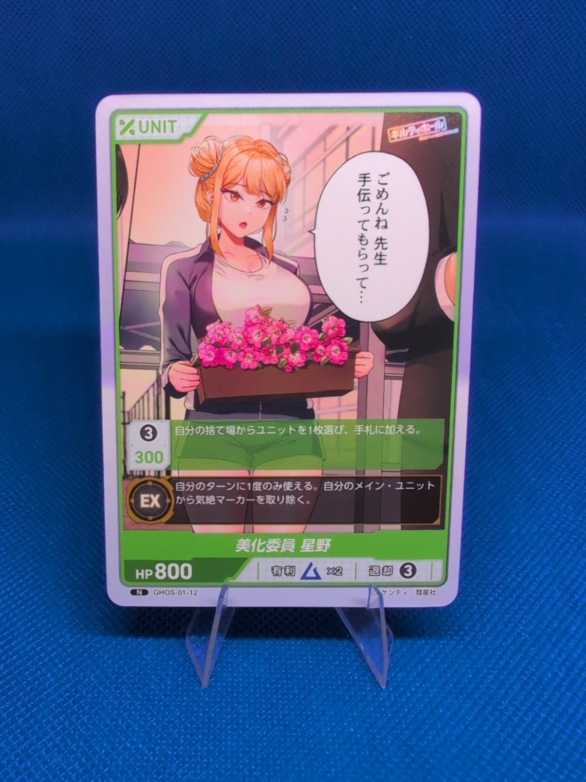 Committee Member Hoshino N – Divine Cross Guilty Hall – TCG – CCG – Waifu