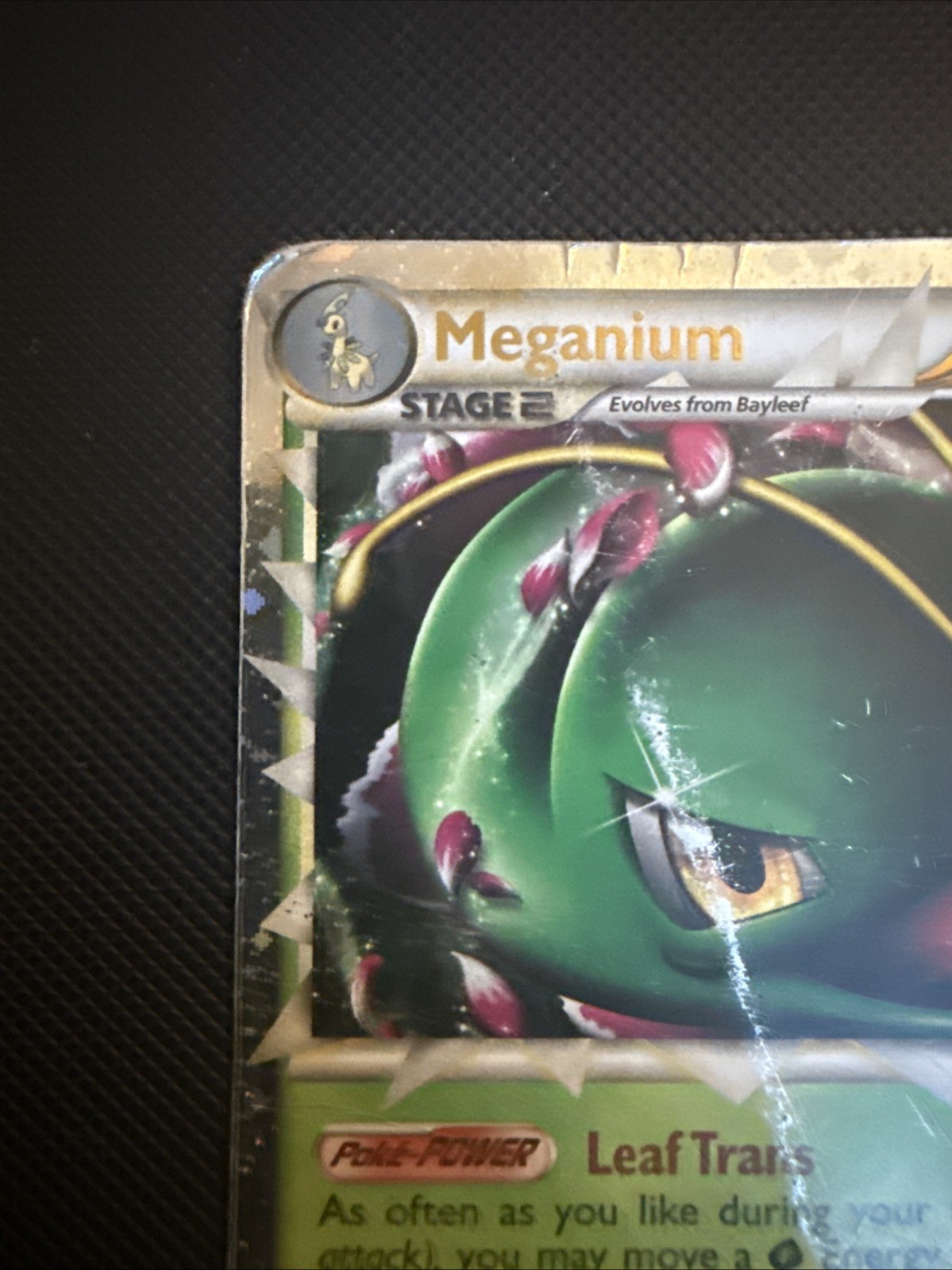 Meganium Prime HGSS08 Hgss Promo Holo English 2010 Stage 2 HP 150 Solarbeam