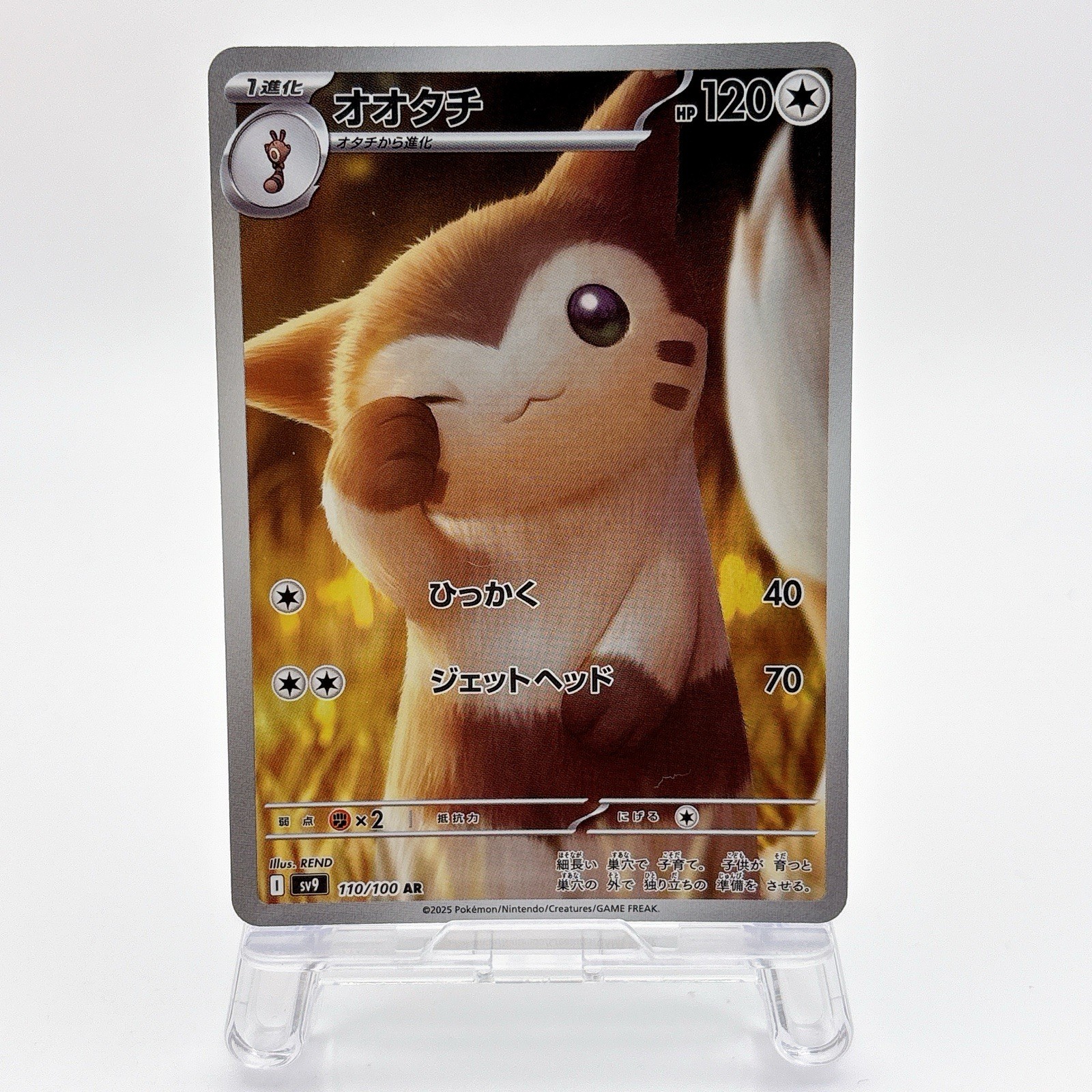 Furret 110/100 SV9 AR Pokemon TCG Japan 2025 Card Manga Game Kawaii Cute