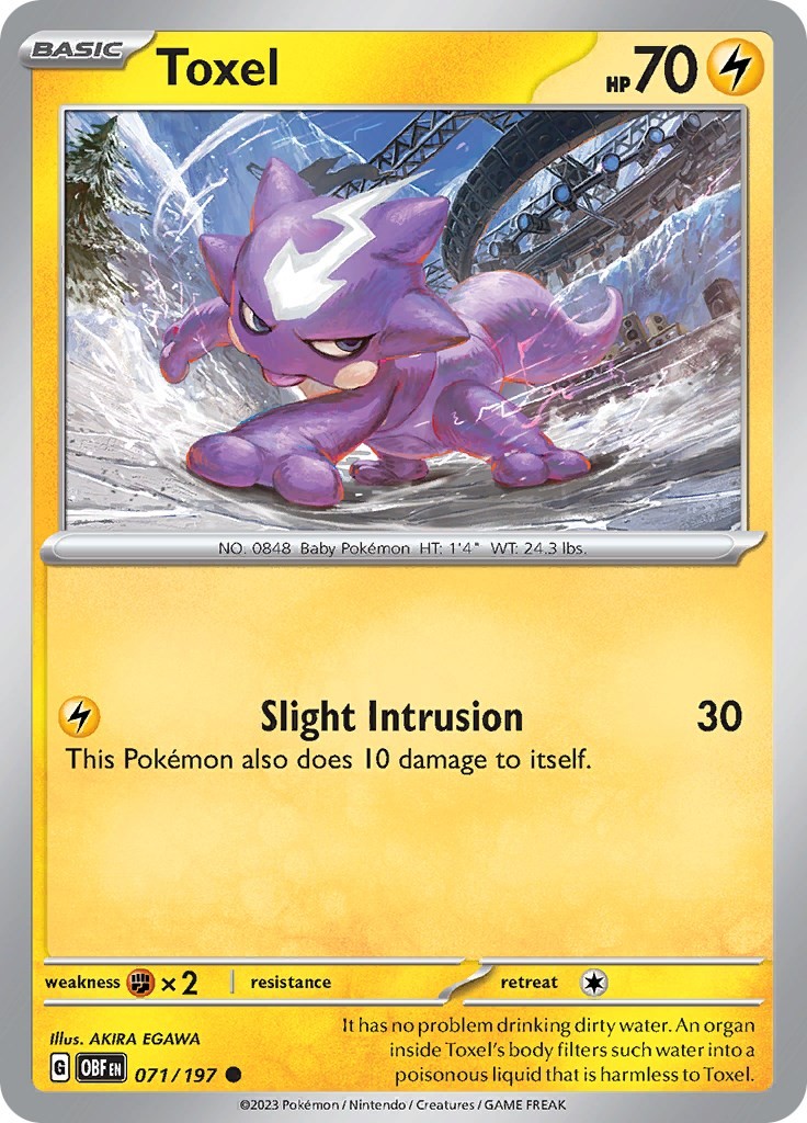 Toxel OBF 071/197 Pokémon SV03: Obsidian Flames Common EN NM