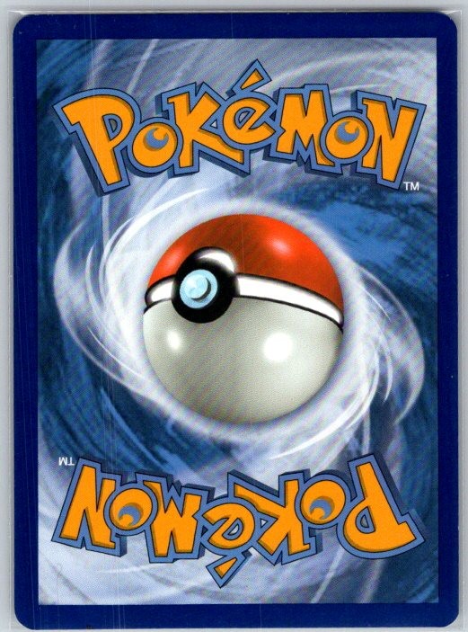 Cinderace 034/202 Holo Rare Sword & Shield Pokemon Near Mint