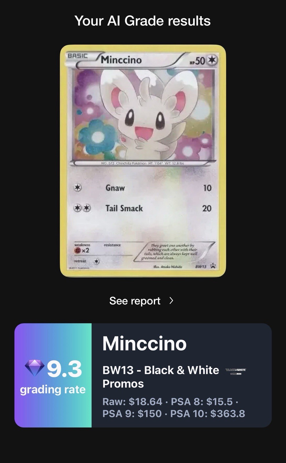 Pokemon Minccino BW13 Black & White Cosmos Holo Promo English Basic 50 HP 2011