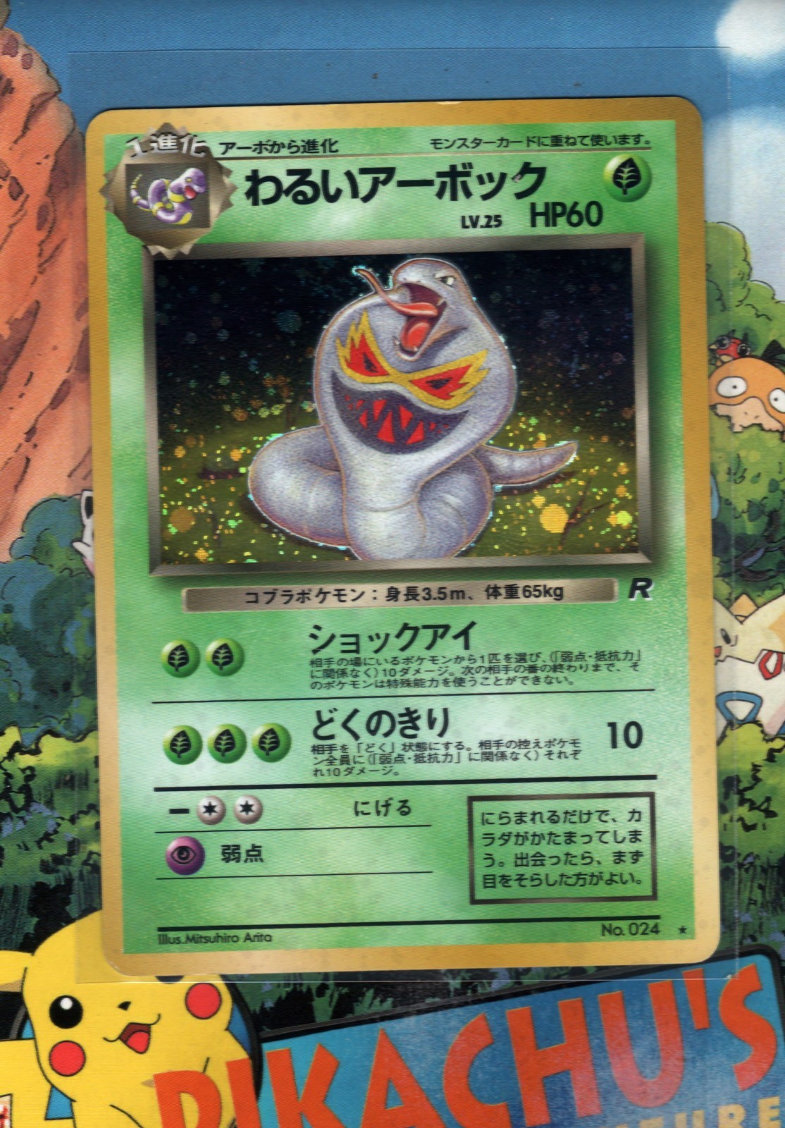 Pokémon TCG Dark Arbok Rocket Gang 024 Holo Japanese Played