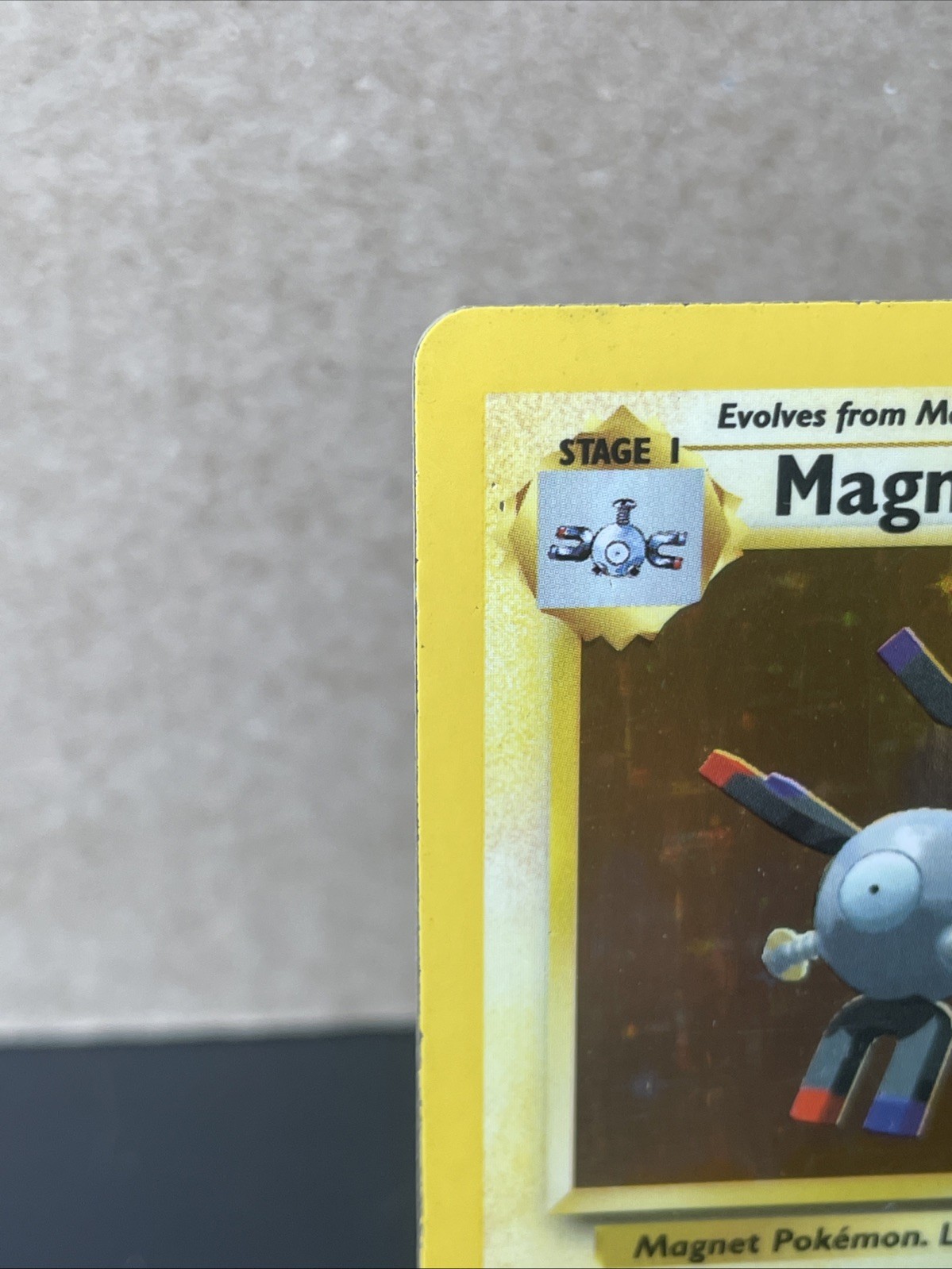 WOTC Base Set Magneton 9/102 Holo Rare EN 1999 MP