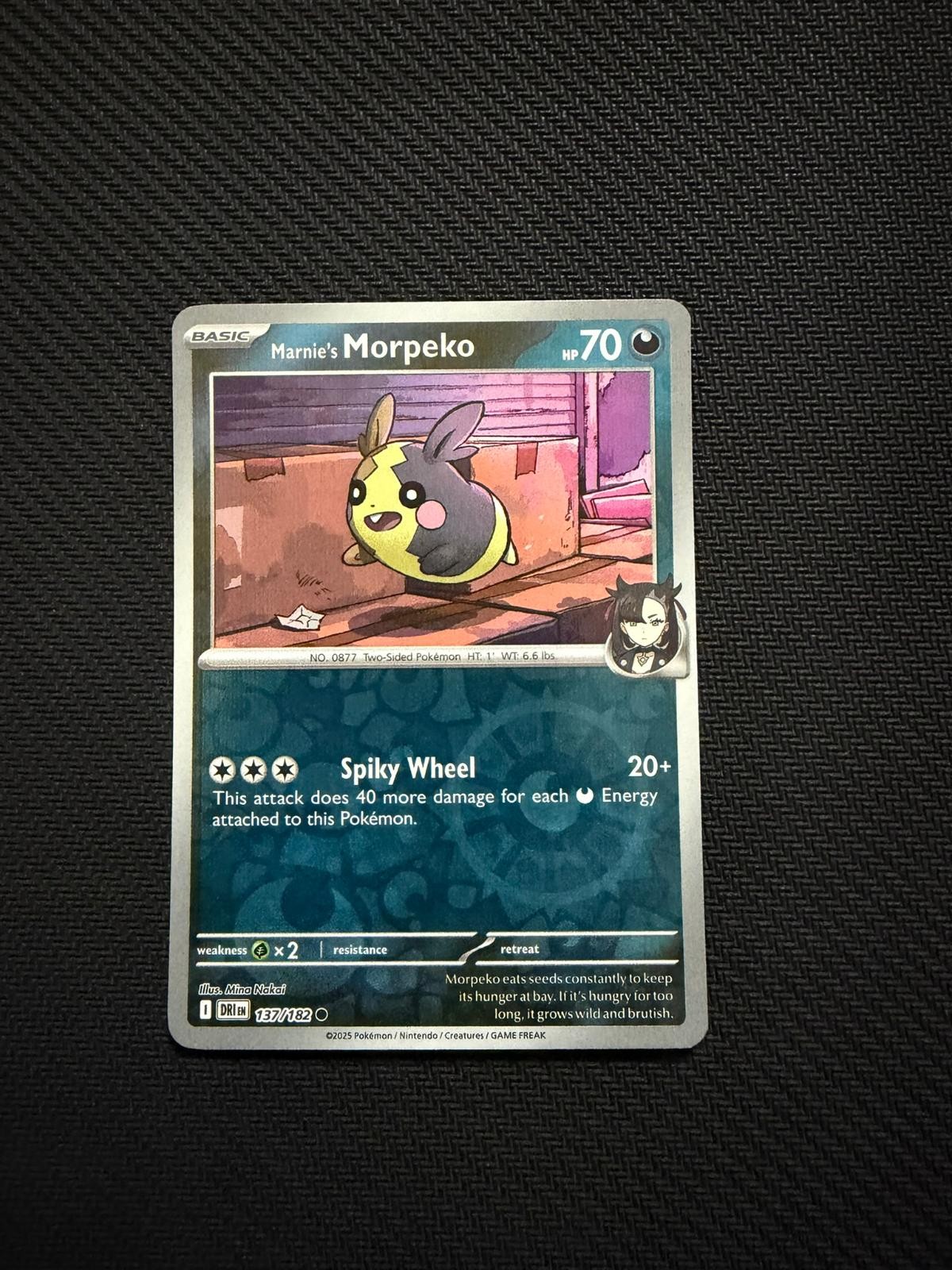 Marnie’s Morpeko 137/182 Common Destined Rivals Pokemon Reverse Holo Near Mint