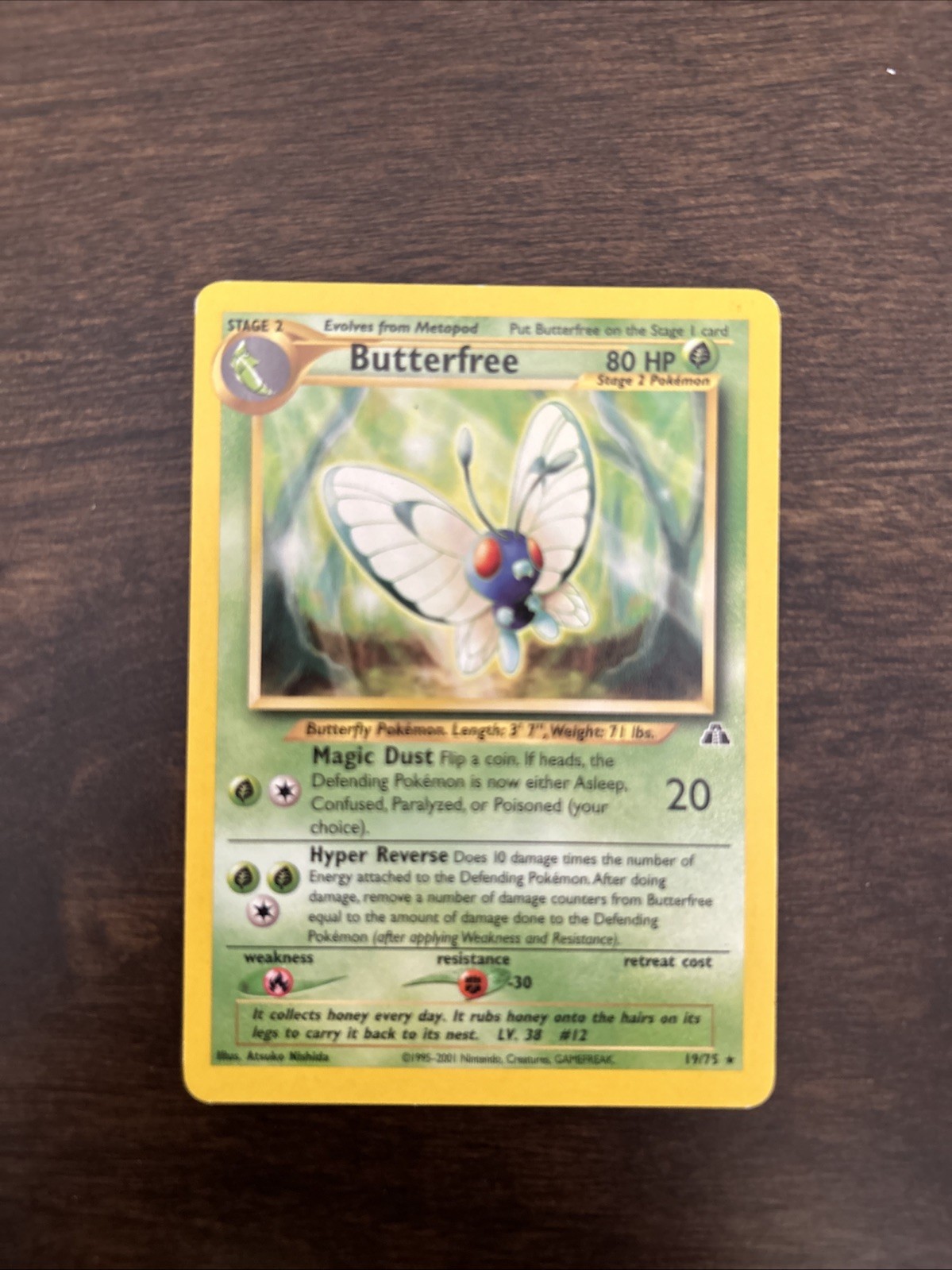 Butterfree 19/75 Neo Discovery Regular
