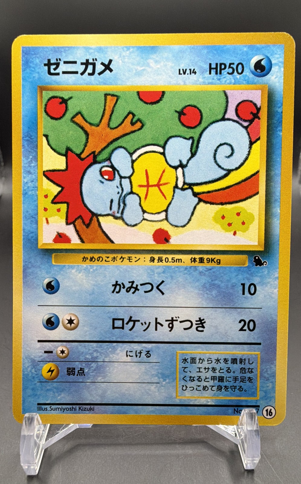 Squirtle 16 Intro Pack (Squirtle) Regular (Japanese) *LP*