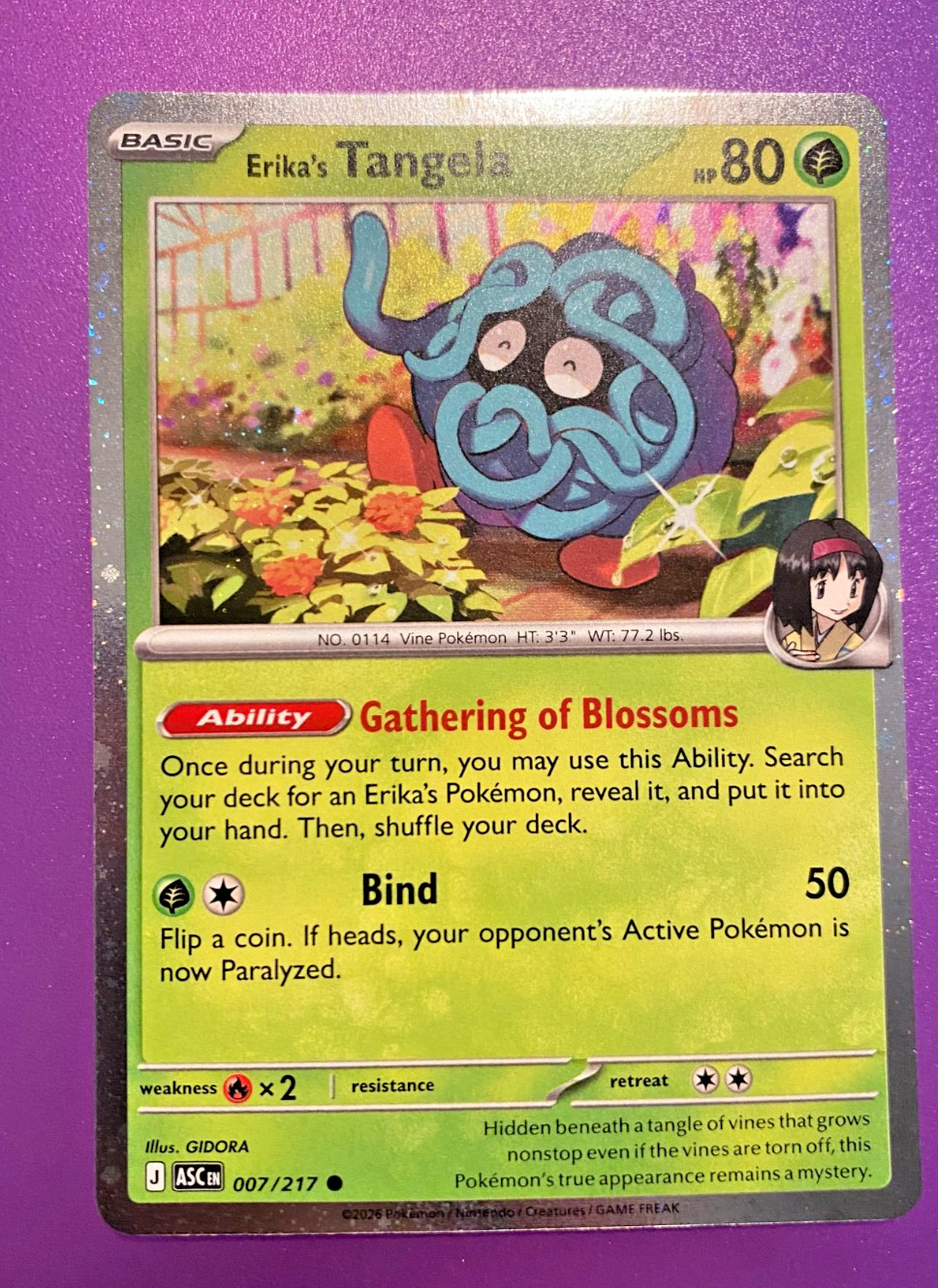 Pokemon Ascended Heroes Holo and Reverse Holo