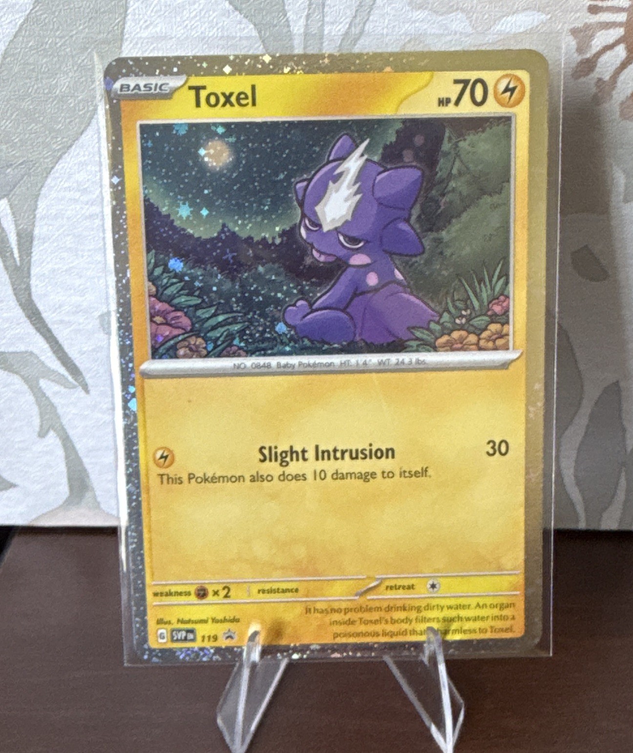 Sassy Toxel 119 Twilight Masquerade PROMO Holo N/M Pokémon Card English 70 HP