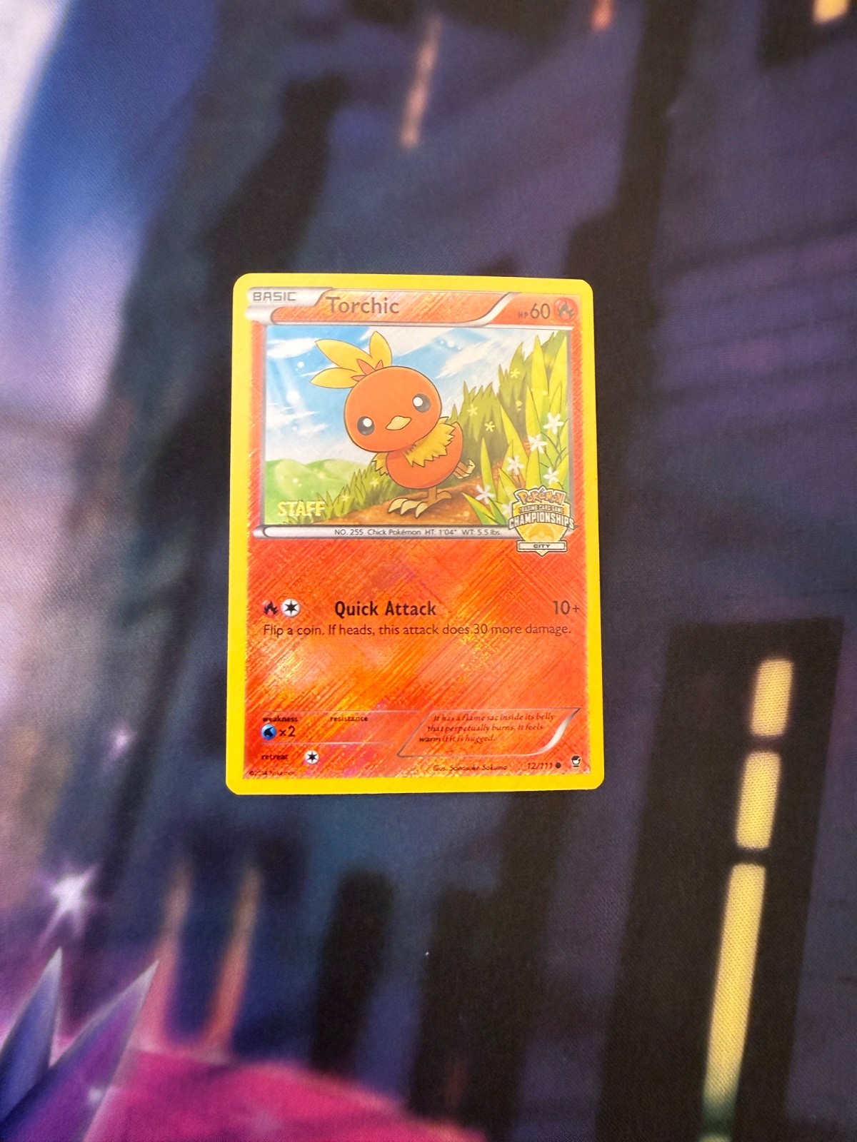 Torchic 12/111 – STAFF, VLP, State Championships, Pokémon League Promo TCG Card