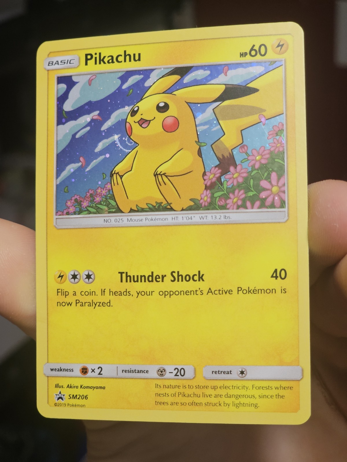 Pokémon TCG Pikachu SM206 Black Star Promo Holo W/HD Galaxy Swirl LP/MP