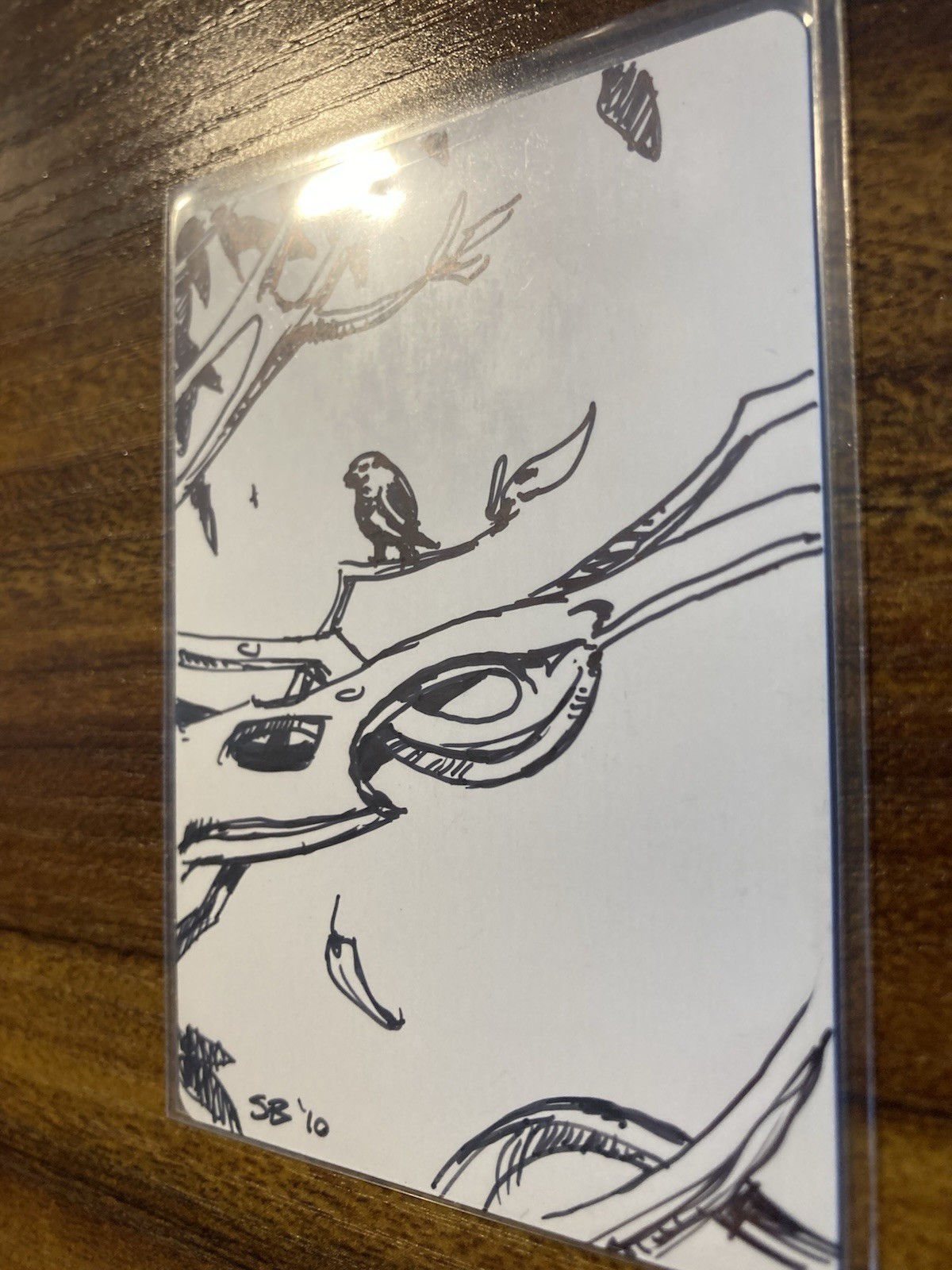MTG✨Signed EXOTIC ORCHARD Artist Proof w/Org Art✨Conflux MINT RARE Belledin Art