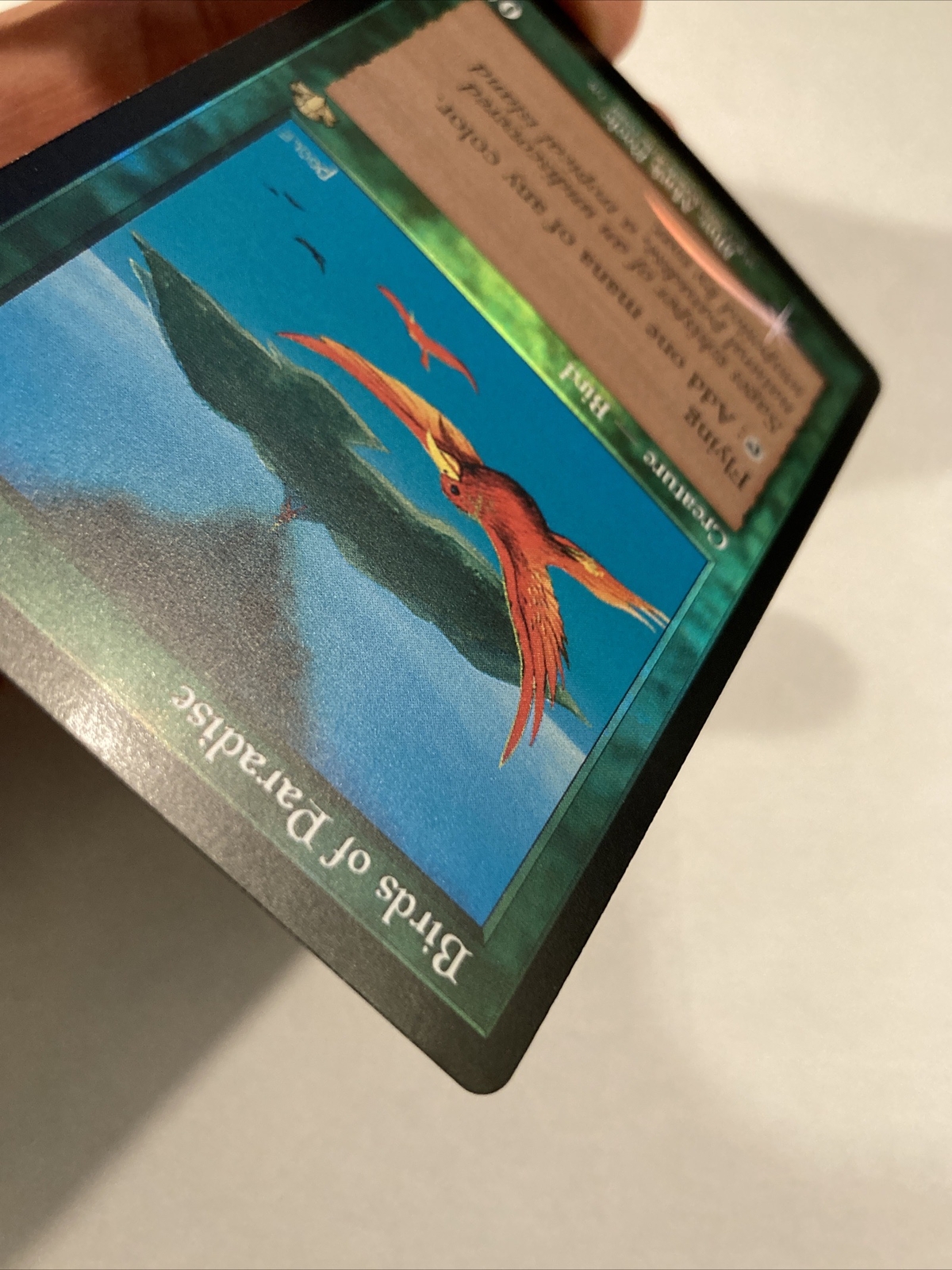 MTG Birds of Paradise *RETRO FRAME FOIL* Dominaria Remastered 336 NM