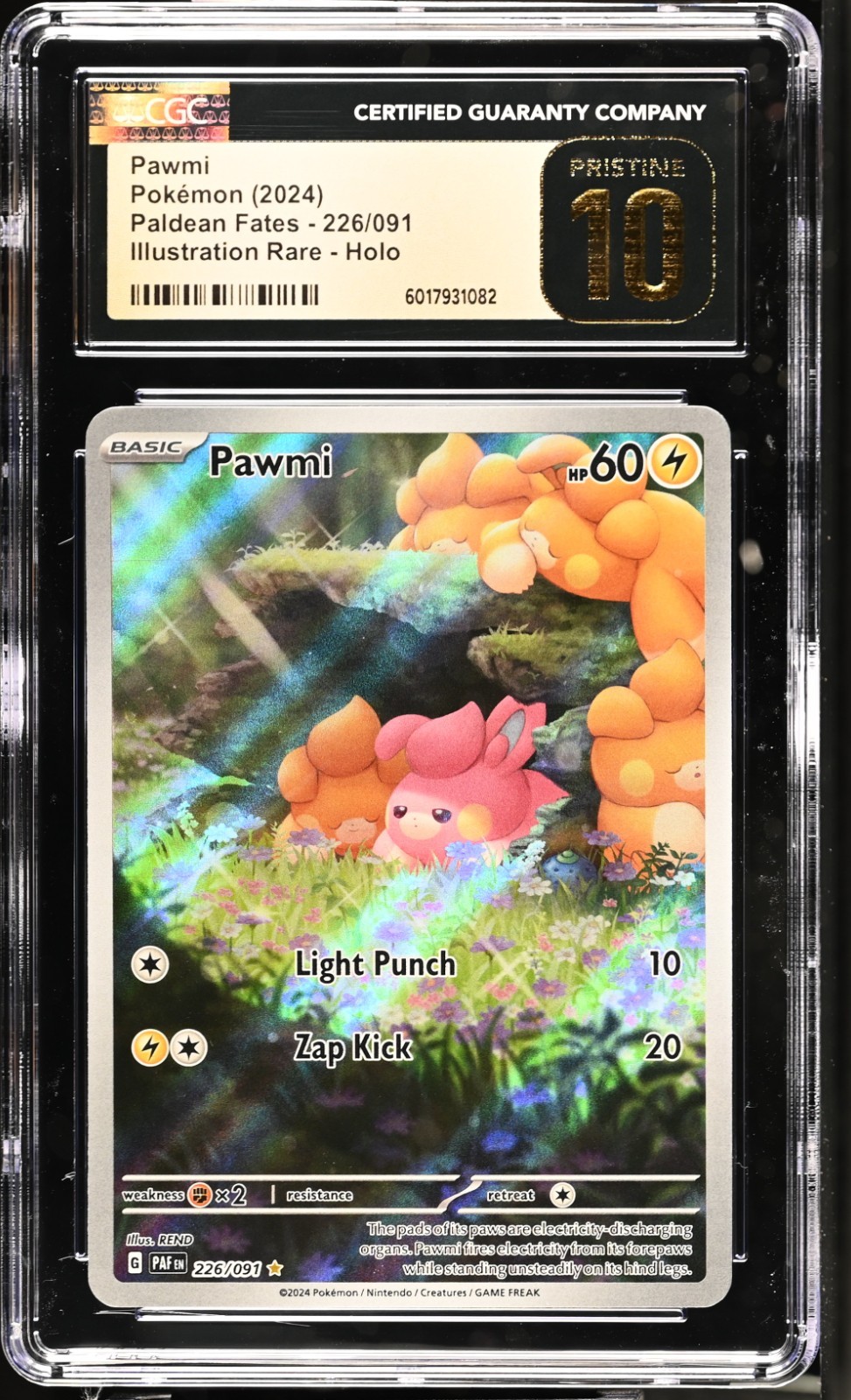 🐁 Pokémon CGC Pristine 10 PAWMI 226/091 Graded Illustration Rare English 2024