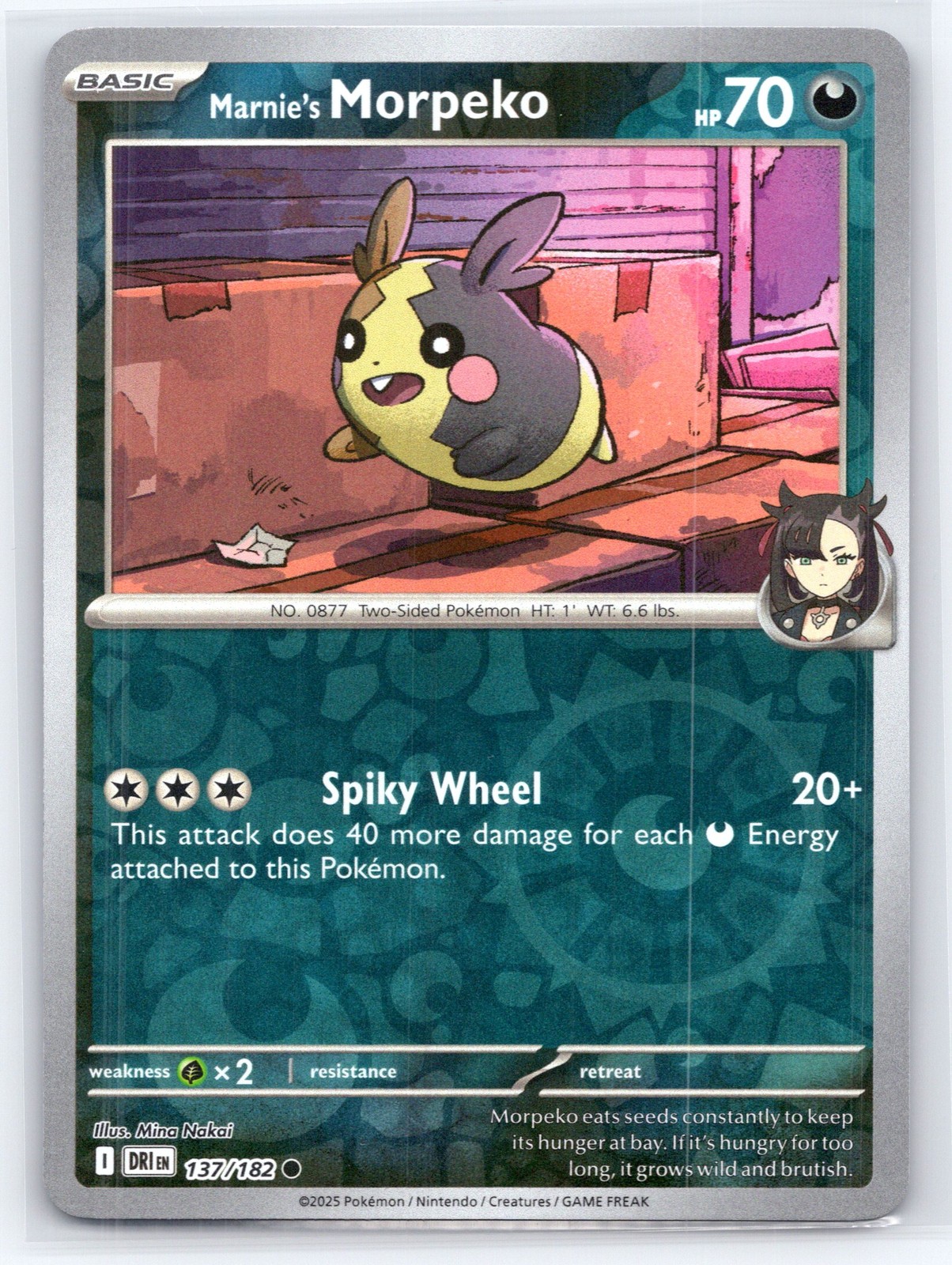 Pokemon NM Reverse Holo Marnie’s Morpeko 137/182 Common SV10: Destined Rivals