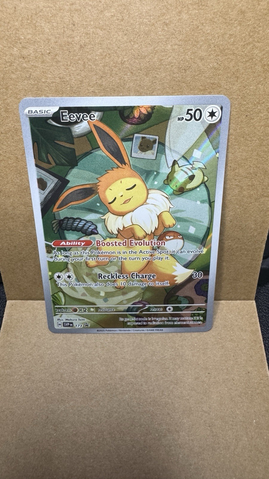 Pokemon TCG Eevee SVP 173 Promo Holo English 2025 Basic Makura Tami