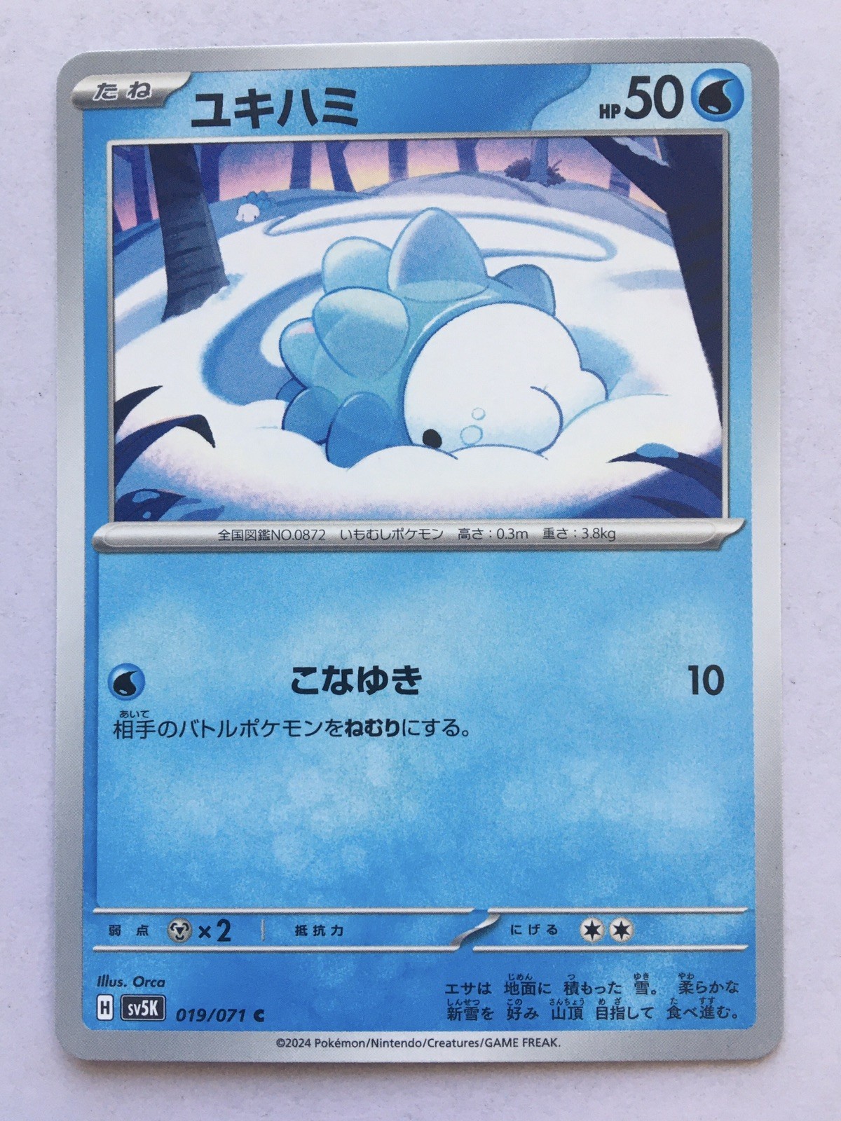 Snom Pokémon Japanese 019/071 Sv5k Wild Force Regular 2024 NM/M! Read Desc!
