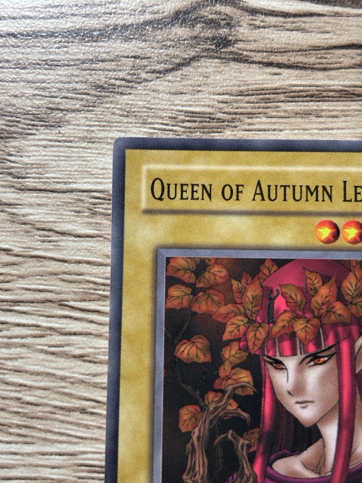 Queen of the Autumn Leaves TP2-024 Tournament Pack 2 LP Yu-Gi-Oh! TP2-024