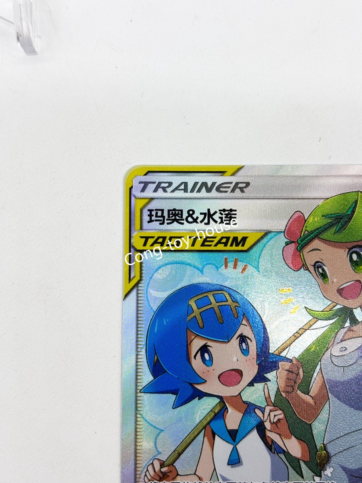 Pokémon Chinese Sun&Moon Trainer Mallow & Lana CSM2aC 185 SR Ultra Full Art