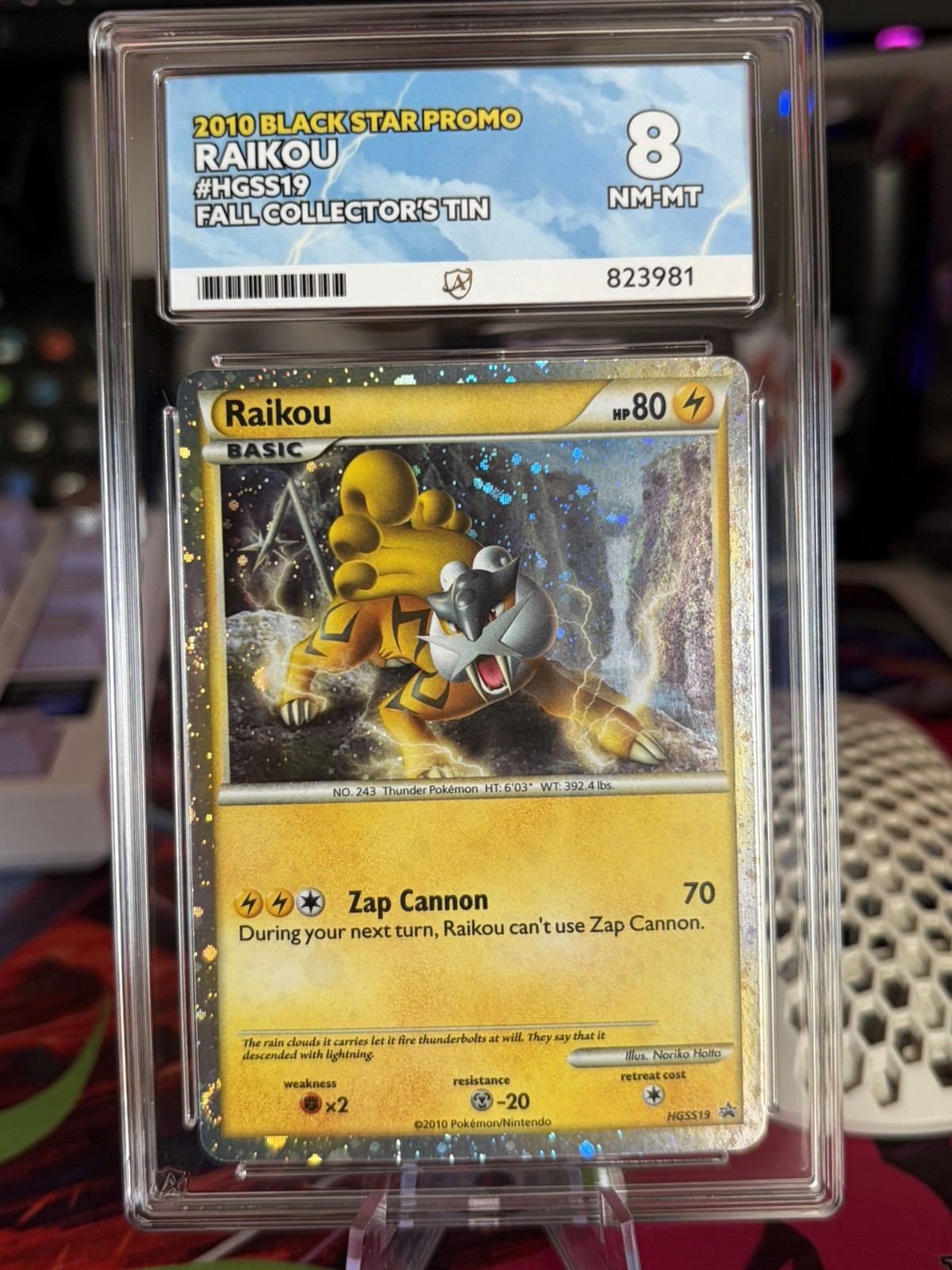 2010 Pokemon Heartgold & Soulsilver Raikou Holo HGSS19 Black Star Promo ACE 8