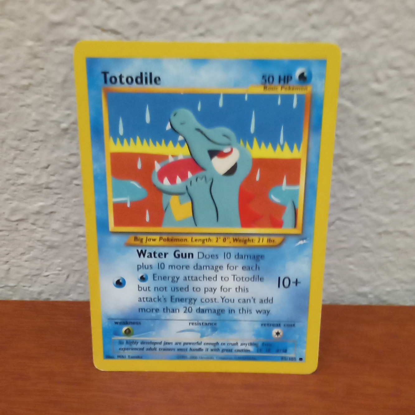Pokemon TCG Totodile 85/105 Neo Destiny Regular Unlimited English 50 HP