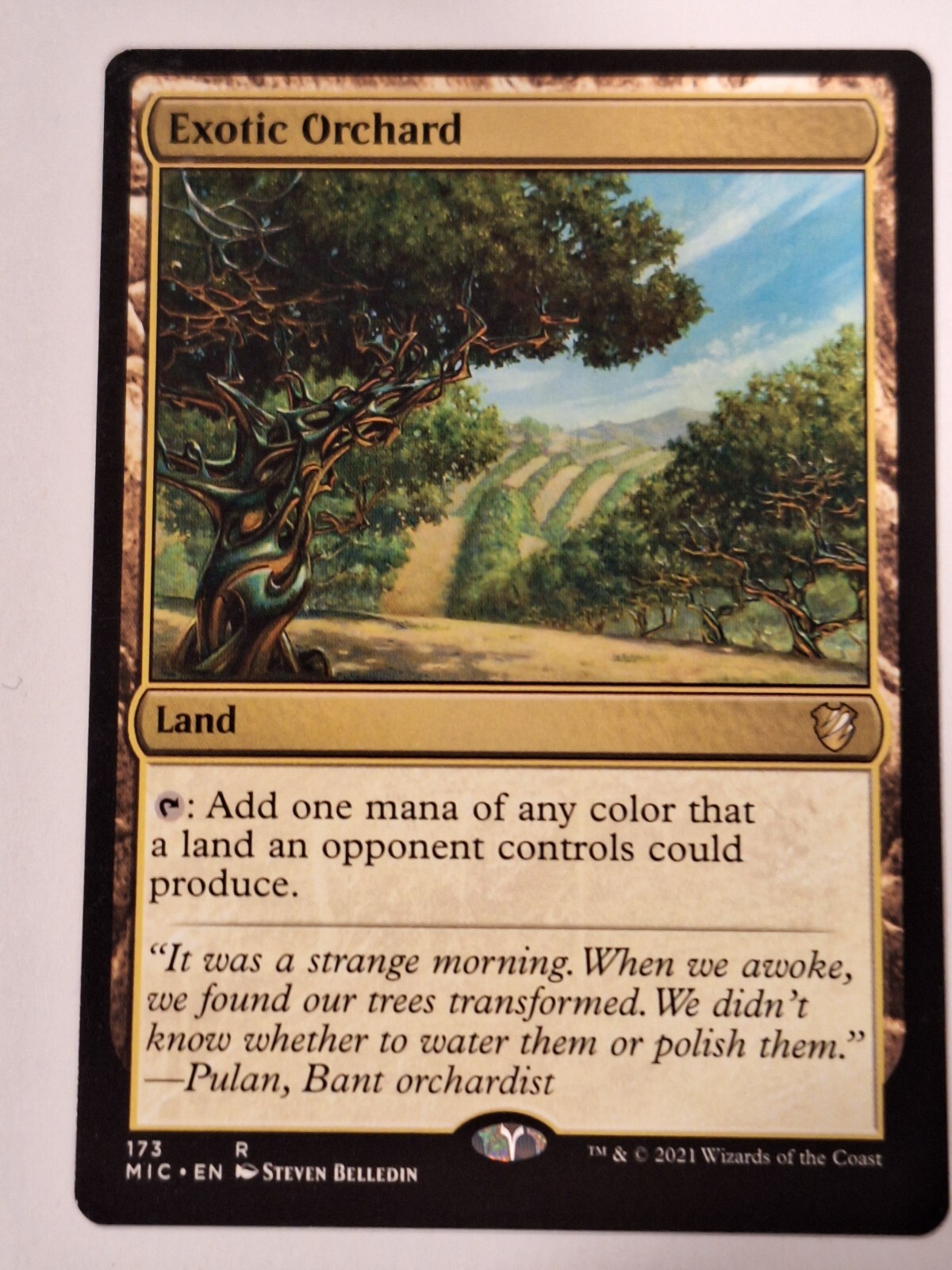 Exotic Orchard -Commander Innistrad Midnight Hunt -Magic the Gathering MTG Nice!