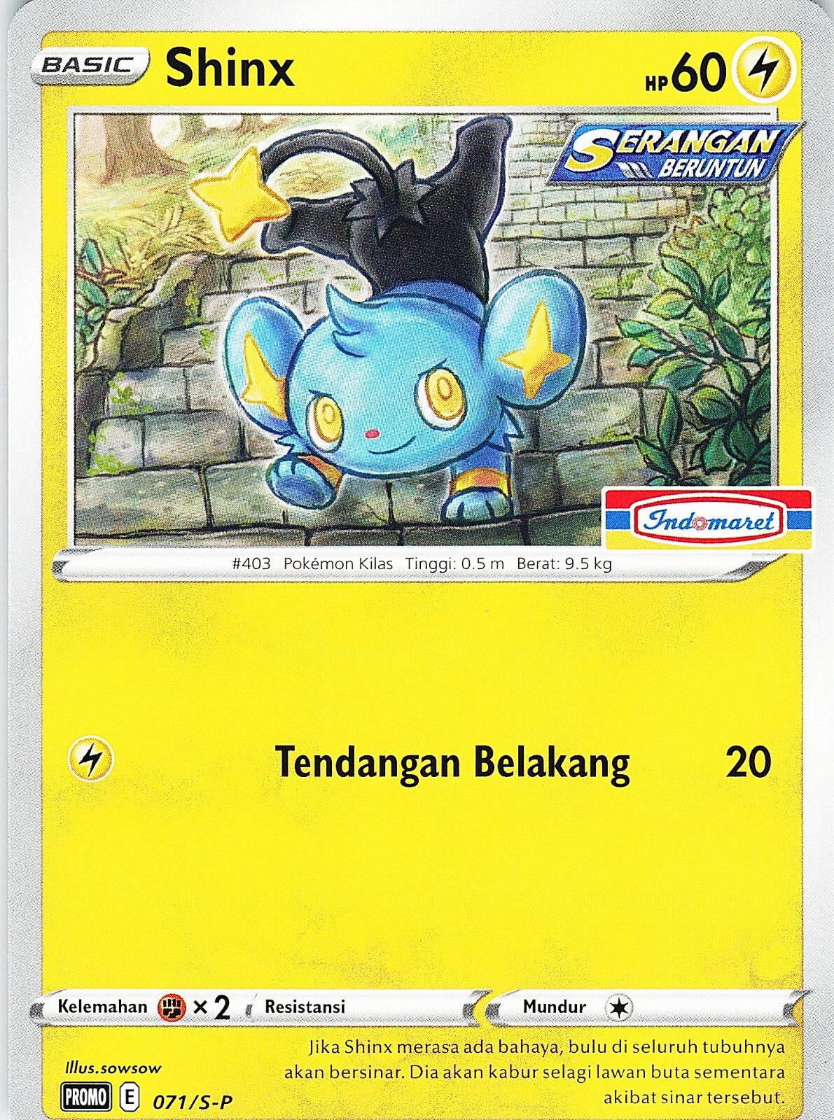 Pokemon Indonesia Promo Shinx Card 071/S-P Stamped Indomaret