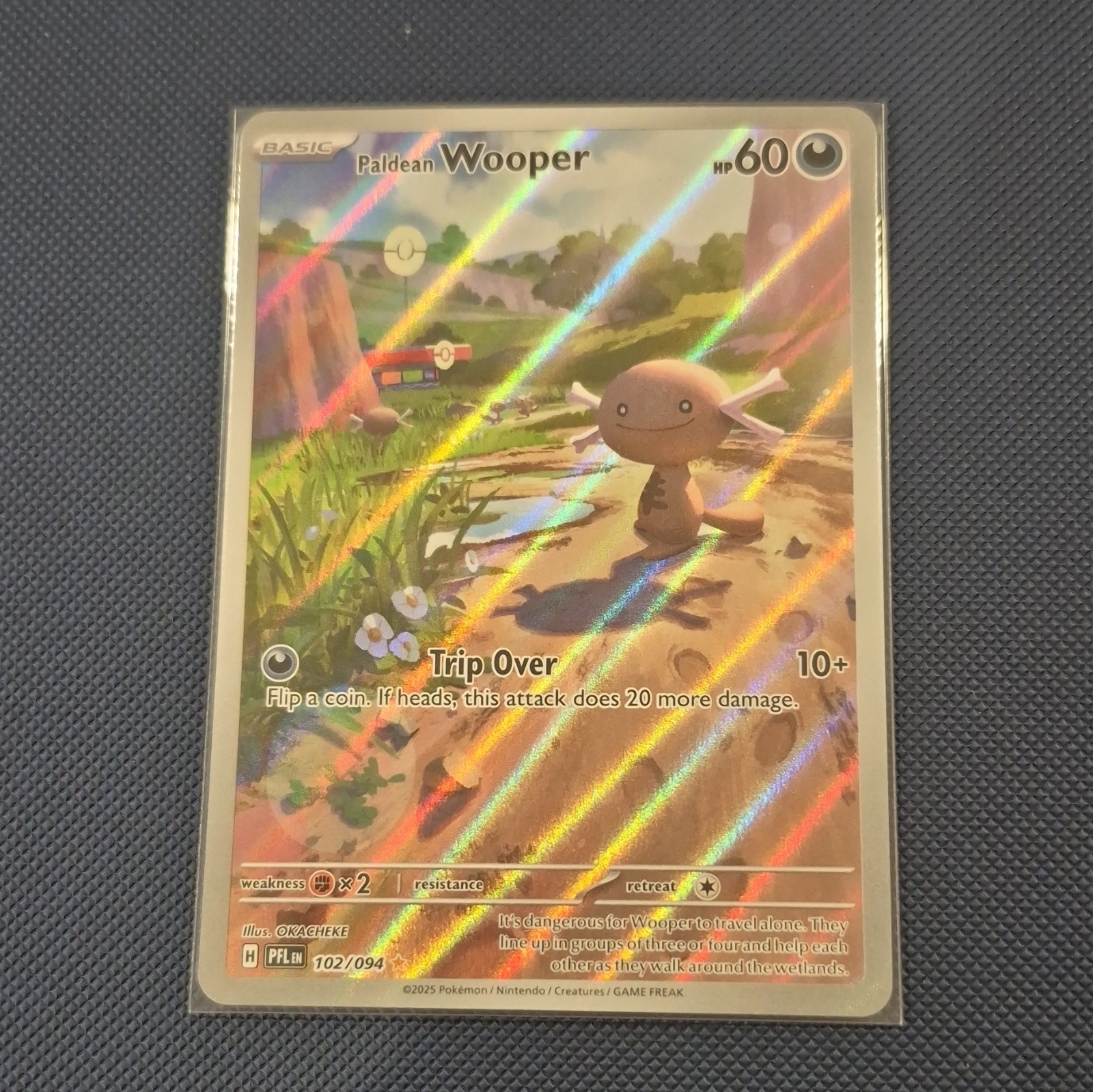 Pokemon Paldean Wooper 102/094 Me02 Phantasmal Flames Illustration Rare Holo