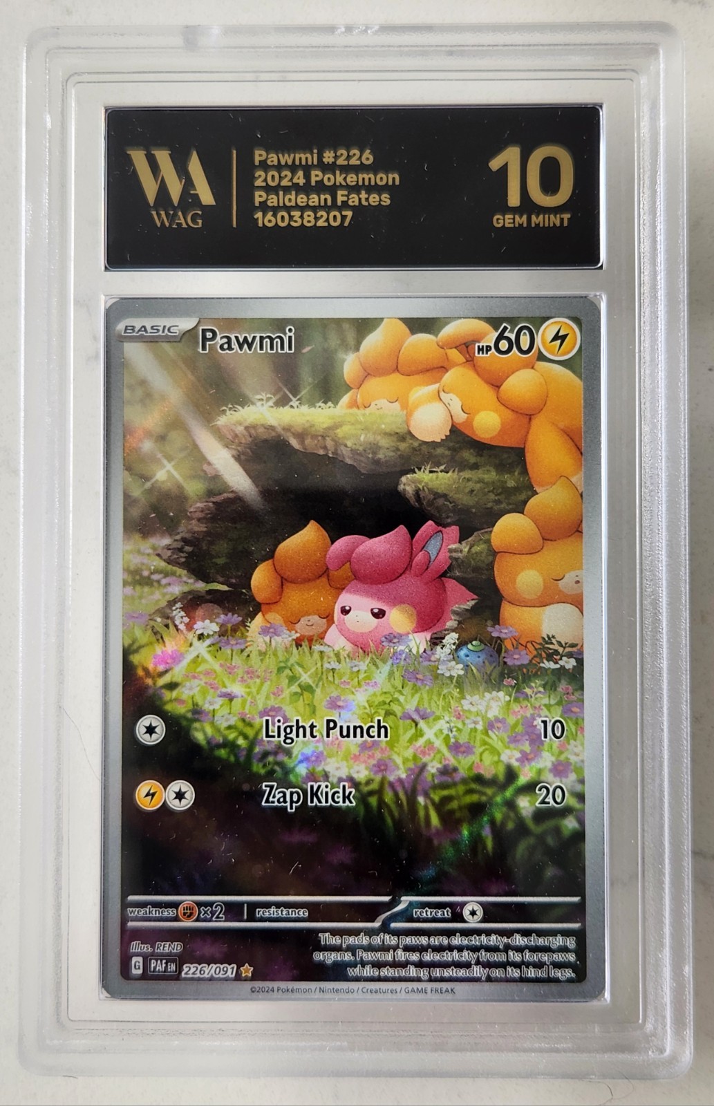 GRADED WAG Gem Mint 10 Pawmi 226/091 Paldean Fates Illustration Rare Pokemon
