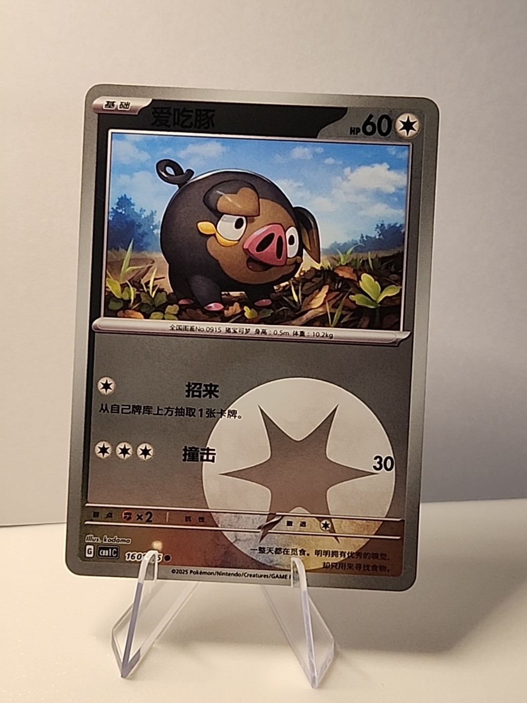 Lechonk 1601/05 Horizons Gem Pack Volume 1 Energy Holo Pokémon TCG NM