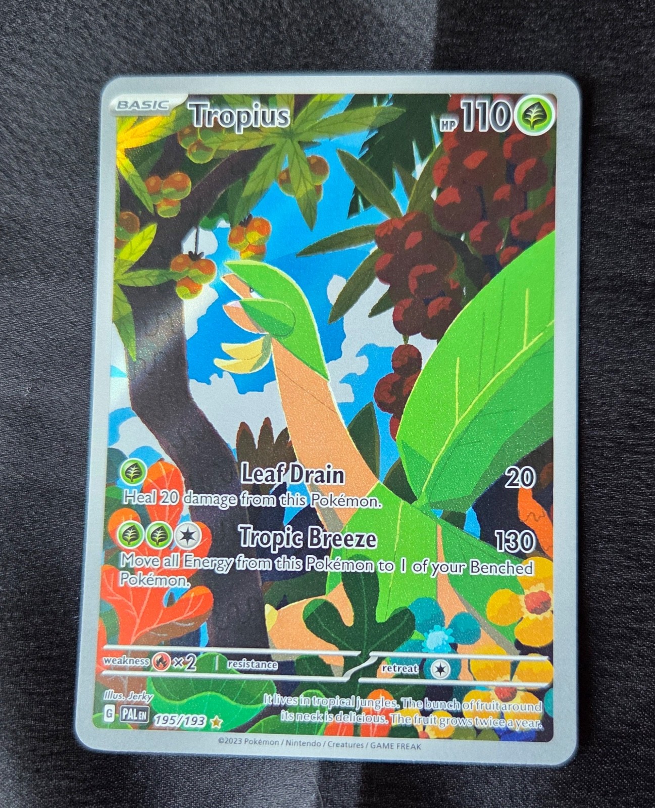 Tropius Holo Illustration Rare SV02: Paldea Evolved 195/193 NM