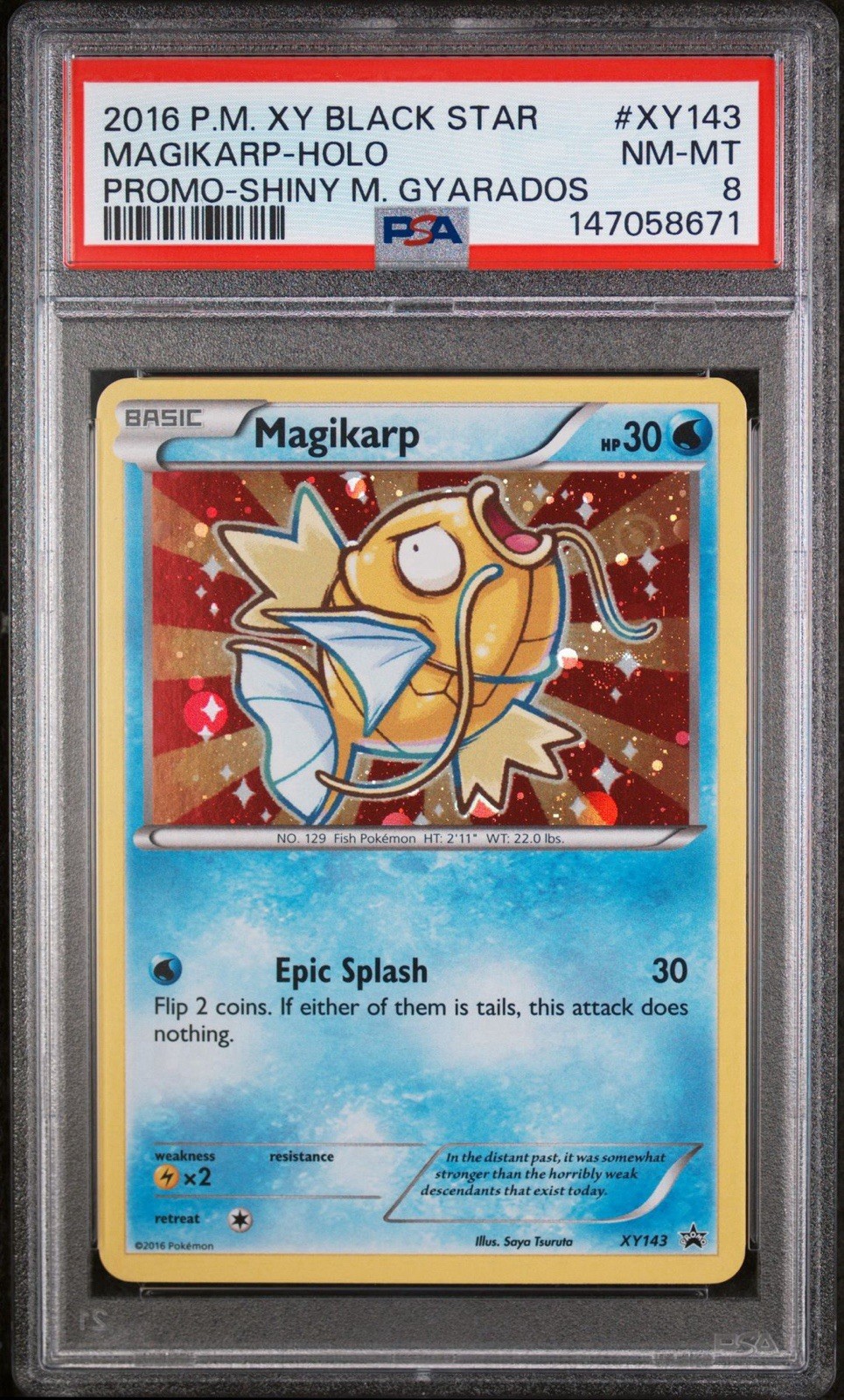 2016 POKEMON XY BLACK STAR PROMO SHINY MEGA GYARADOS #XY143 MAGIKARP-HOLO PSA 8
