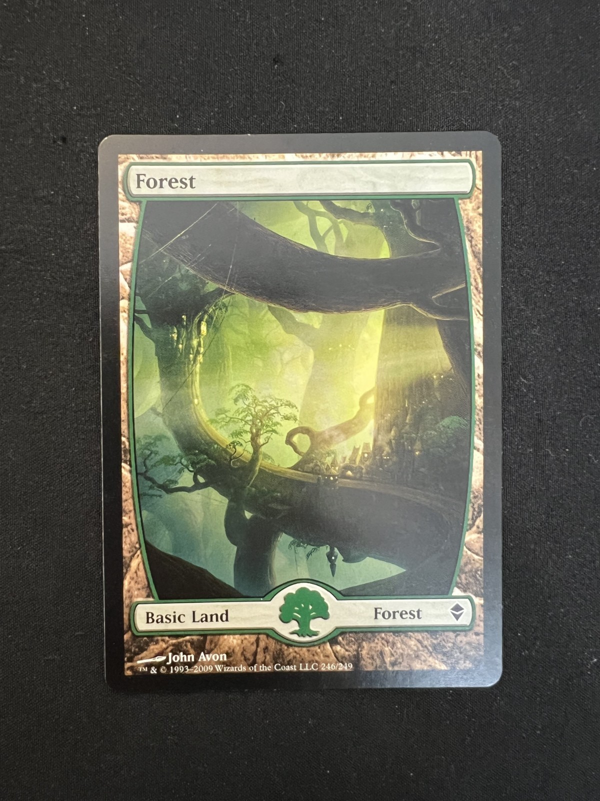 MTG Forest 246/249 John Avon Basic Land Zendikar LP