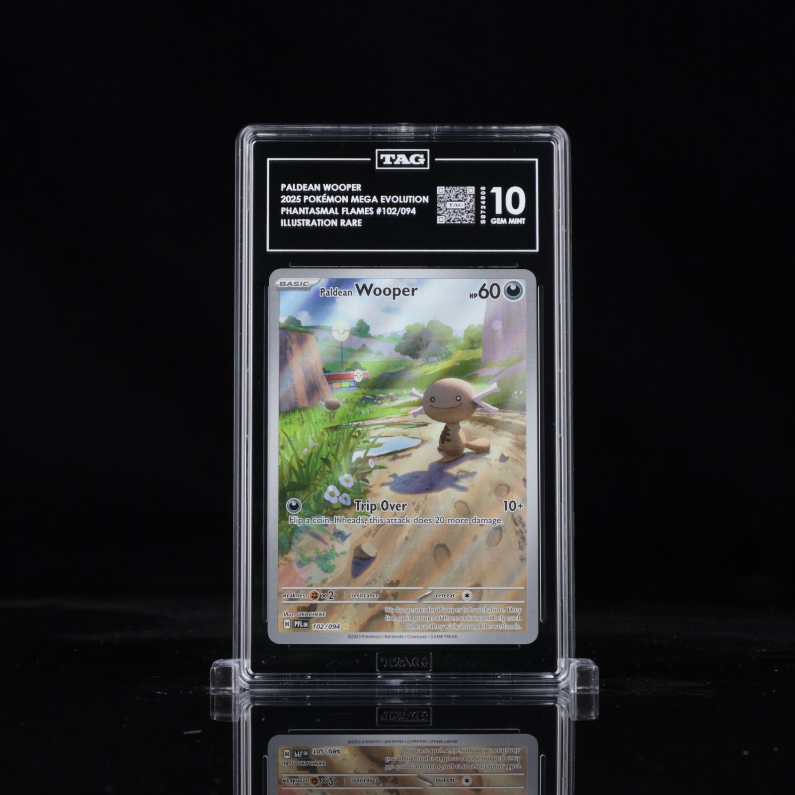 Pokemon 2025 Paldean Wooper 102/094 IR Phantasmal Flames GEM MINT TAG 10