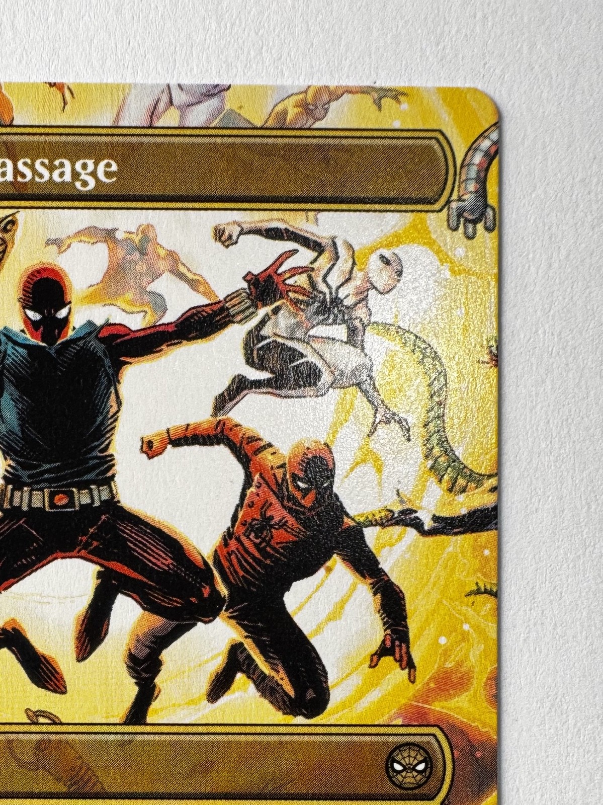Multiversal Passage Borderless 206 – MTG Spider-Man Rare Land Any Color Regular
