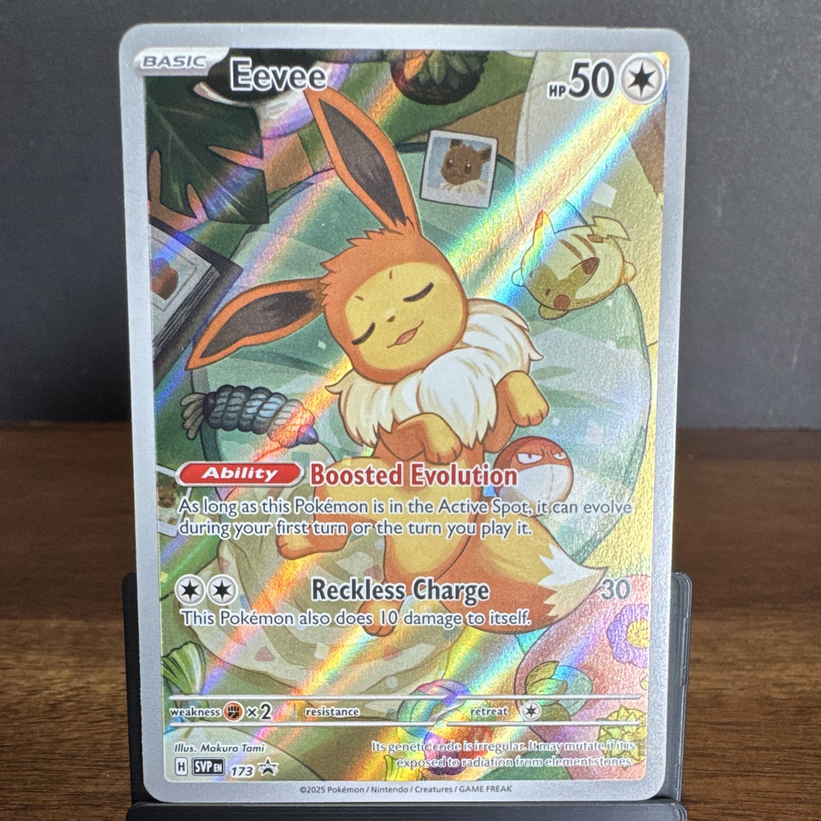 Pokemon TCG Eevee Promo Holo EN SV: Scarlet & Violet 173 HP50 Makura Tami