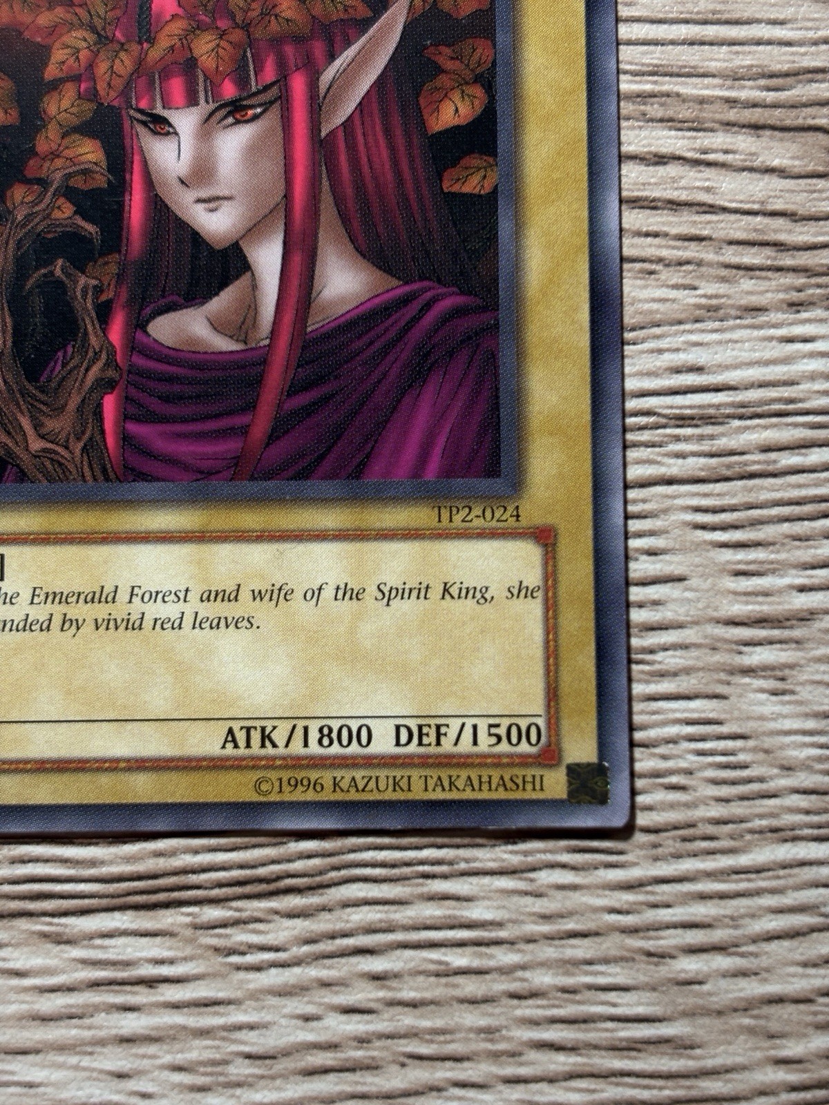 Queen of the Autumn Leaves TP2-024 Tournament Pack 2 LP Yu-Gi-Oh! TP2-024
