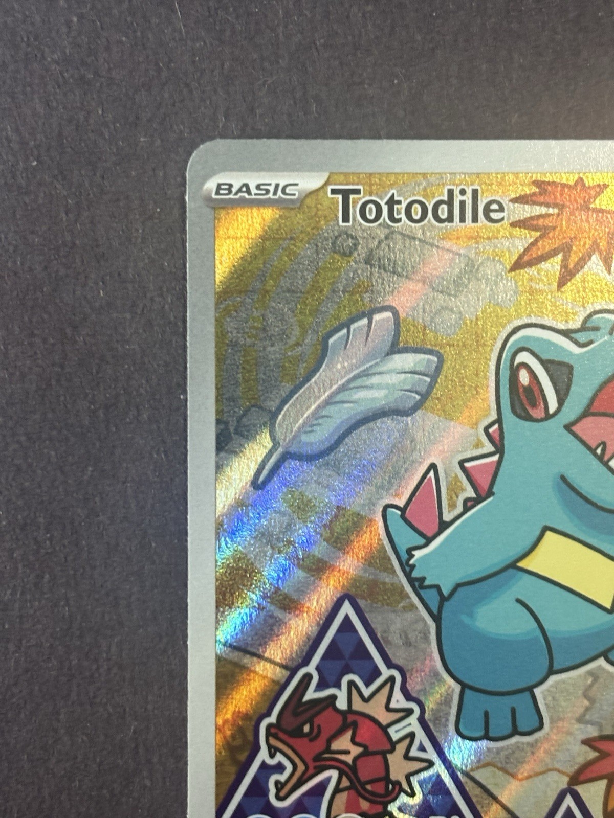 Pokemon Totodile Mega Evolutions Promo #048 Promo Full Art Holo Near Mint