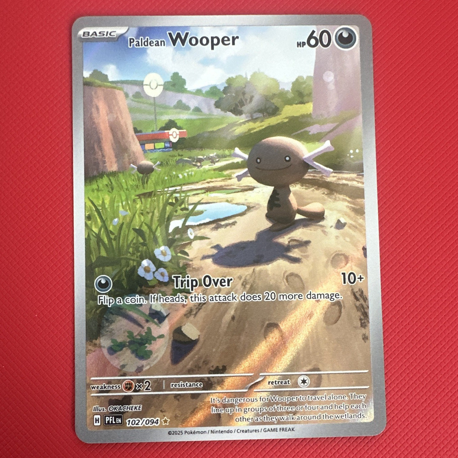 Pokemon Paldean Wooper 102/094 ME02 Phantasmal Flames Holo IR Eng