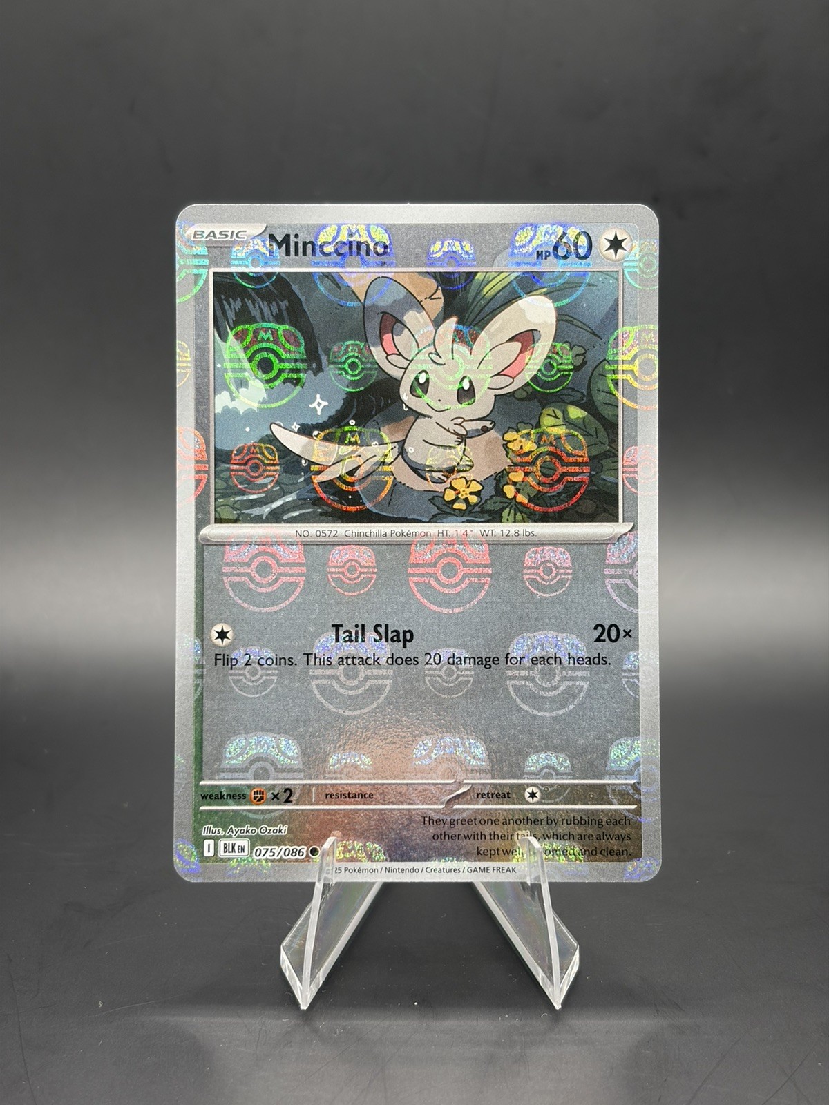 Pokémon TCG Minccino 075/086 (Master Ball Pattern) Sv: Black Bolt Holo NM/M