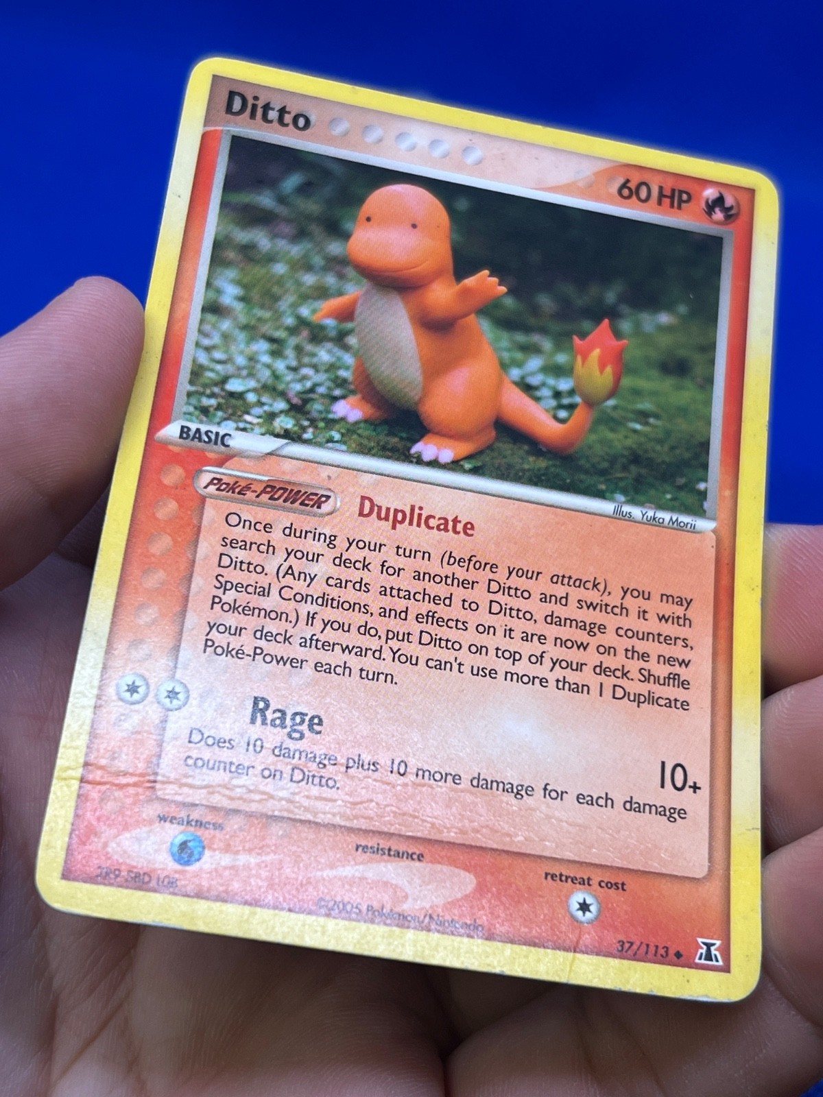 VTG 2005 Pokemon EX Delta Species Ditto Charmander 37/113 Regular Uncommon DMG