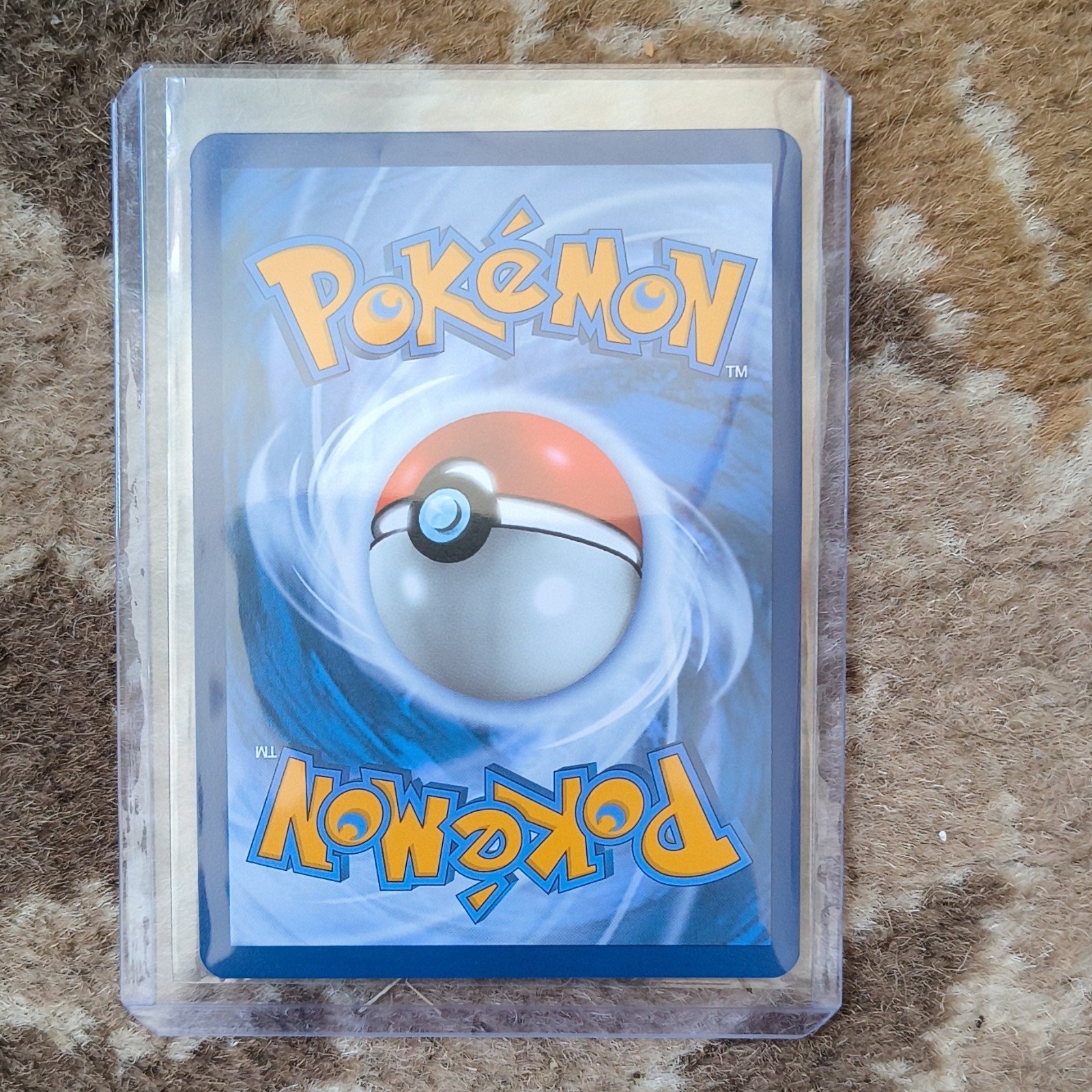 Pokemon TCG Eevee 173 Sv Scarlet & Violet Promo Holo English 2025 Makura Tami
