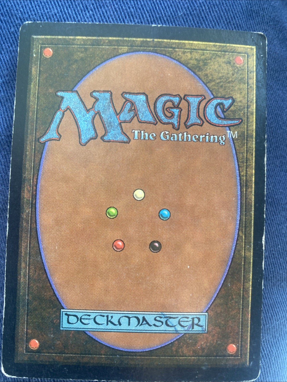 Elephant Grass Visions Regular MP